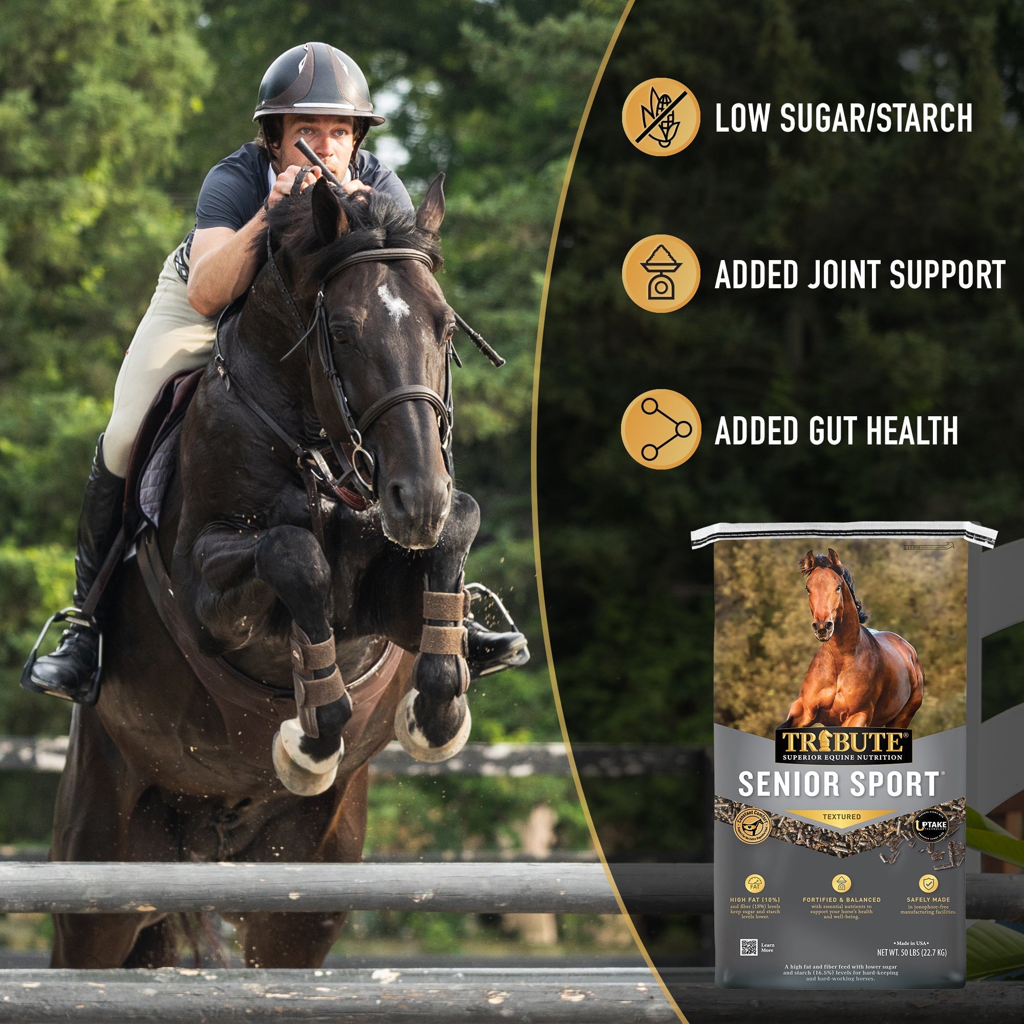 Tribute Senior Sport highlight graphic: low sugar and starch, added joint support, added gut health
