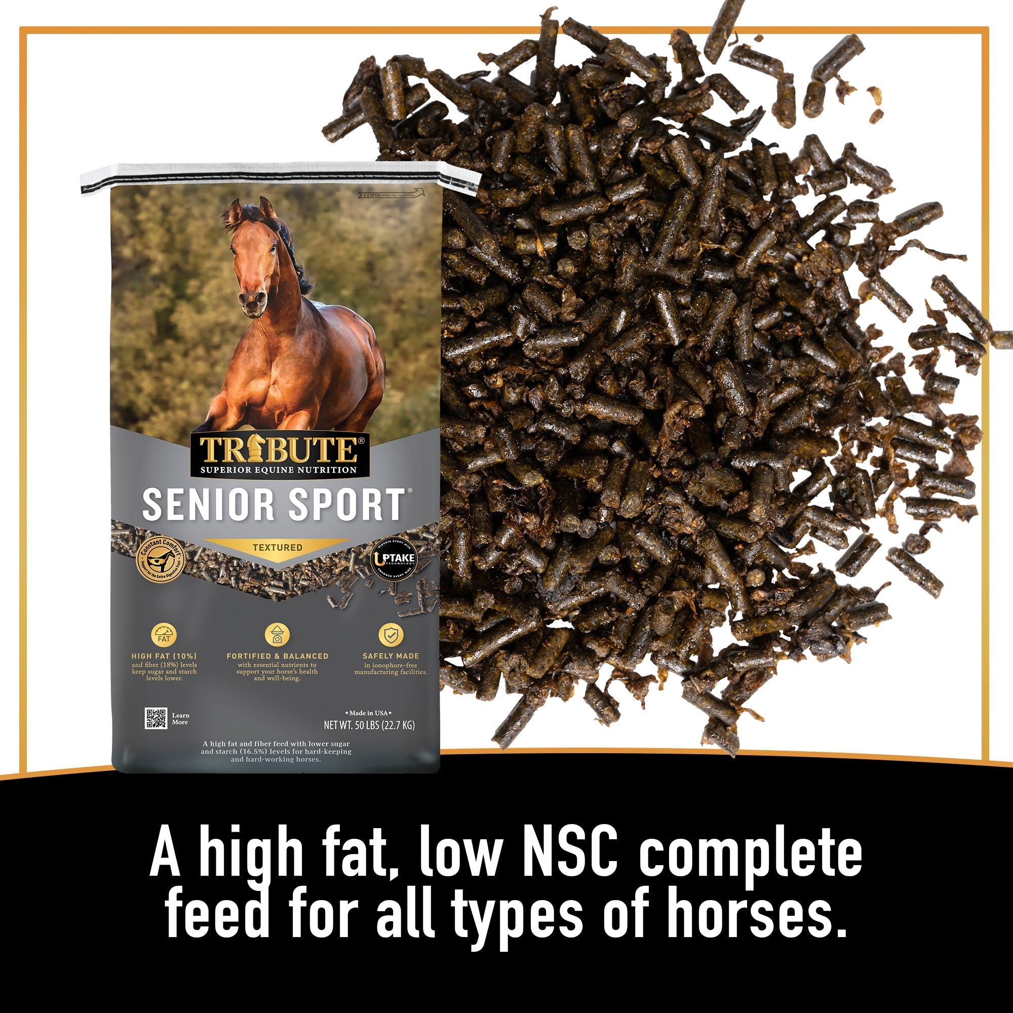 Tribute Senior Sport textured feed close-up, a high fat, low NSC complete feed for all types of horses