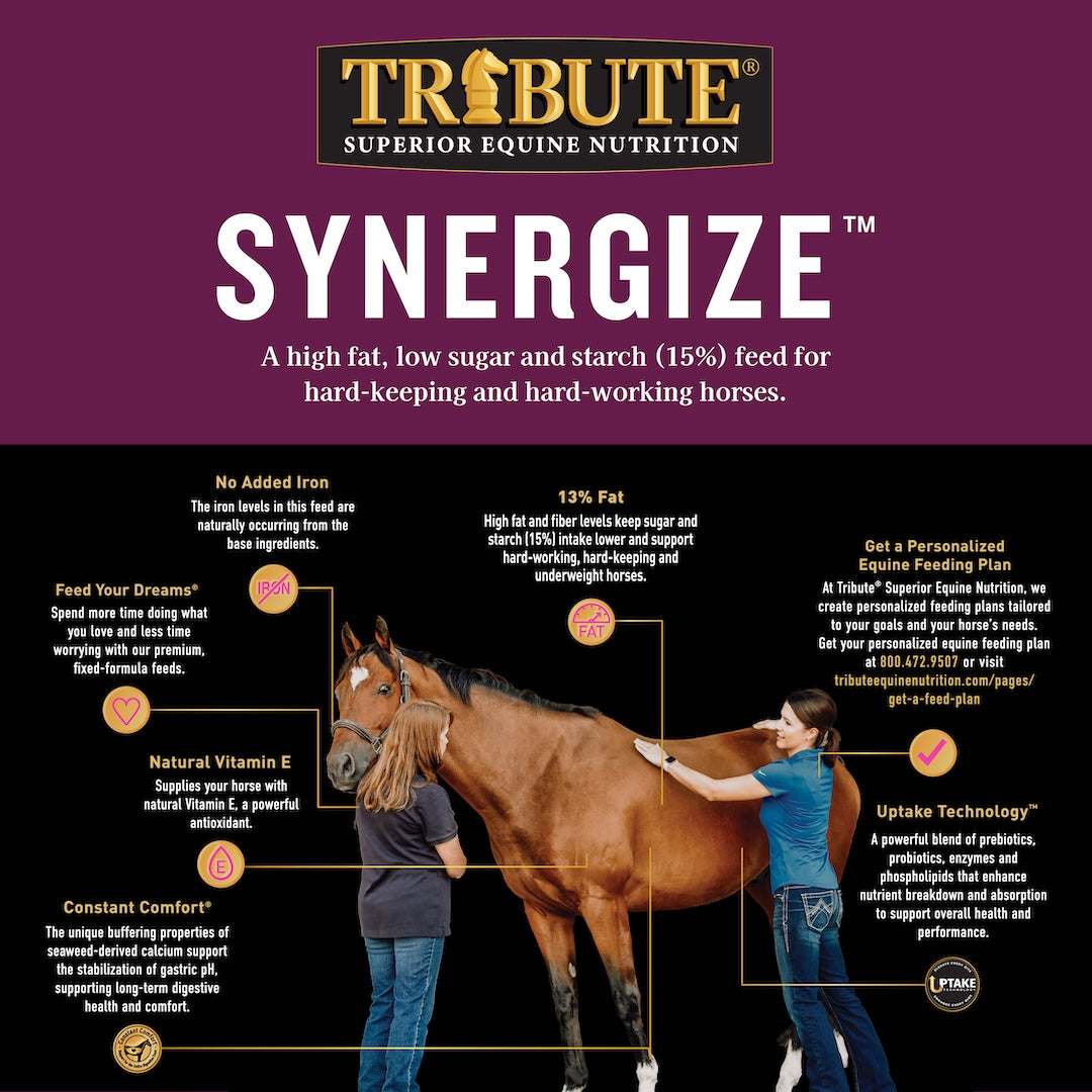Tribute Synergize benefits infographic covering no added iron, 13 percent fat, natural vitamin E, Constant Comfort and Uptake Technology