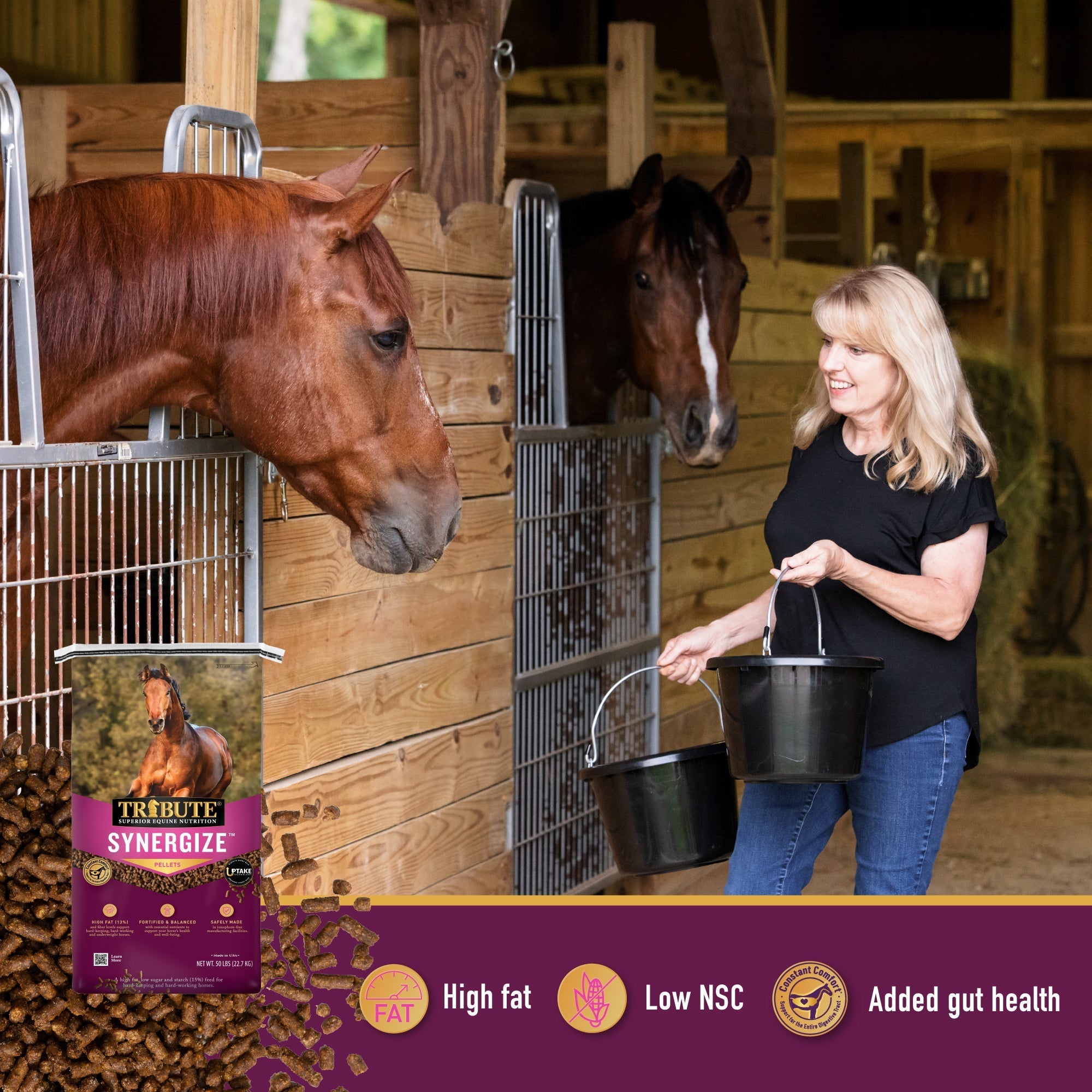 Horse owner carrying feed buckets to stabled horses with Tribute Synergize bag