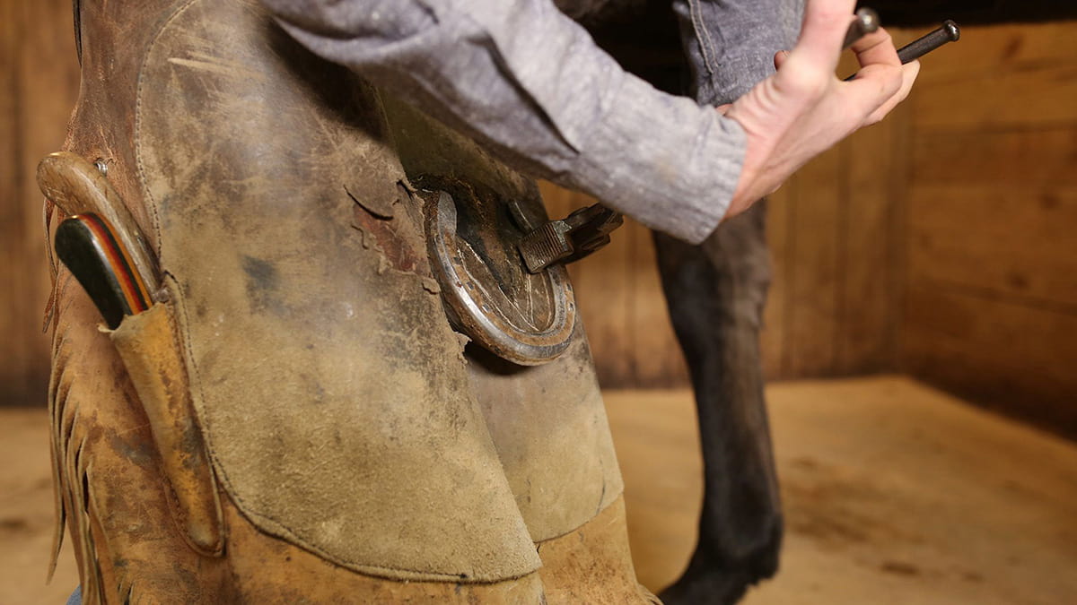 Farrier trimming and shoeing a horse hoof in the barn
