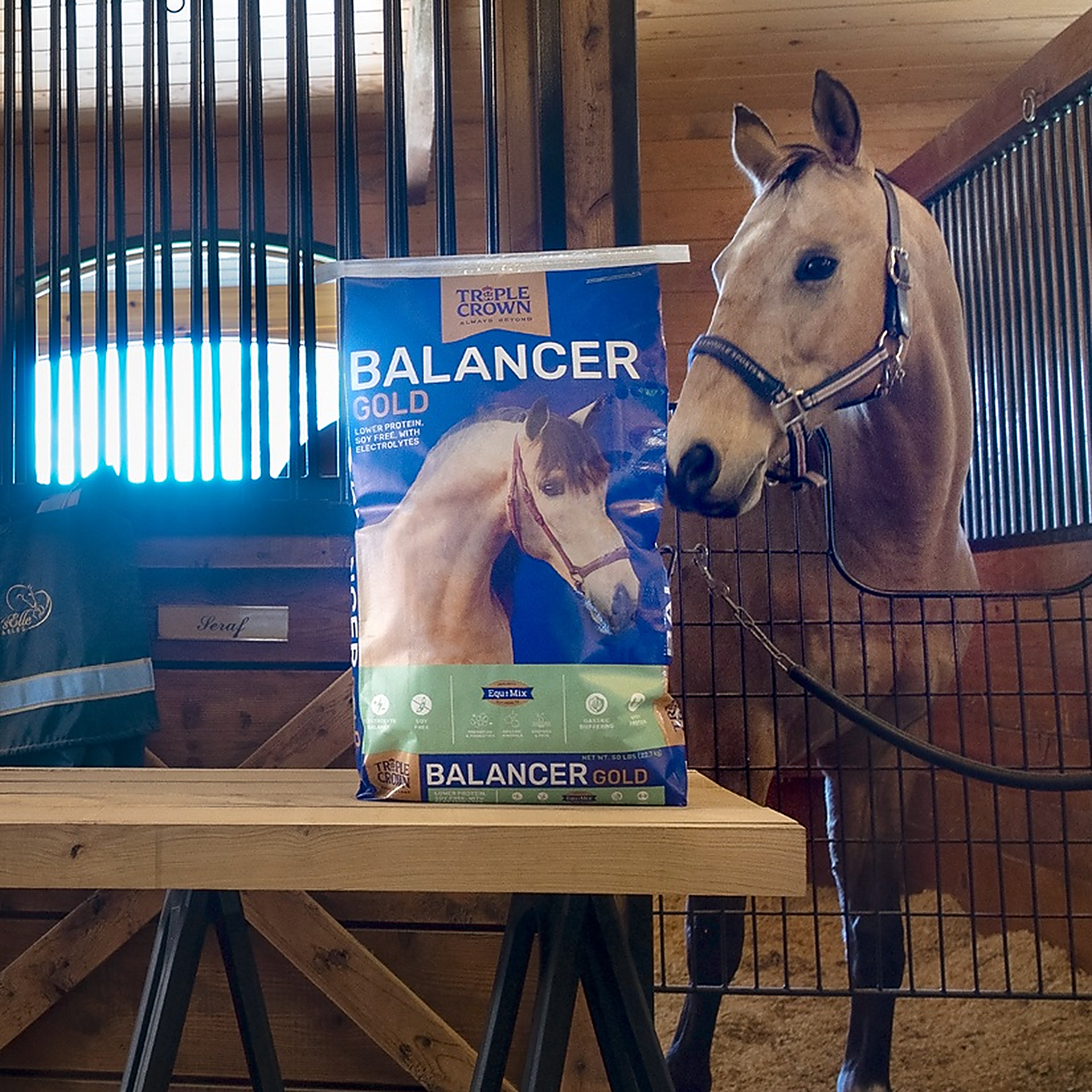 Triple Crown Balancer Gold 50 lb bag on a barn table beside a buckskin horse in a stall