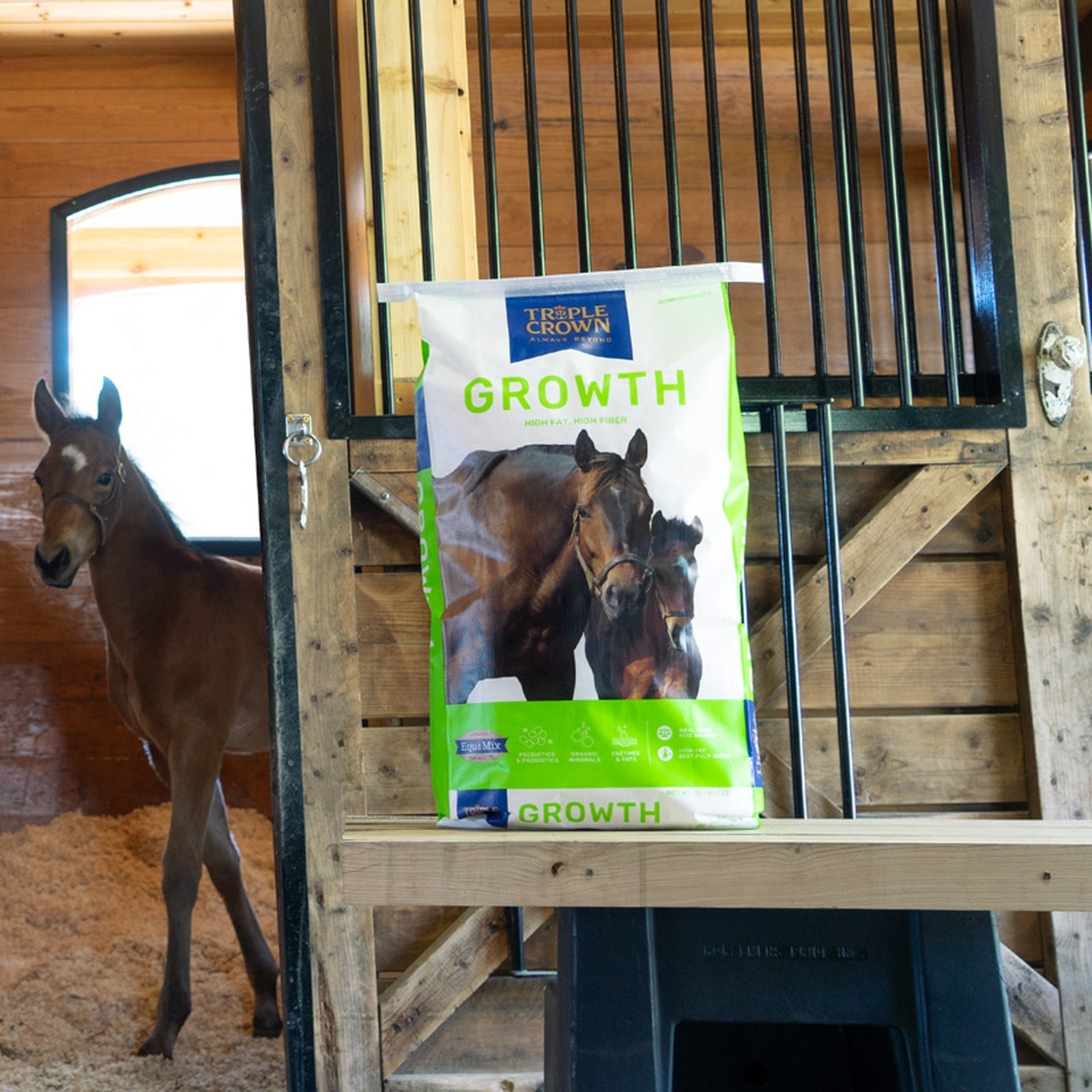 Triple Crown Growth 50 lb bag on a barn ledge beside a foal in a stall