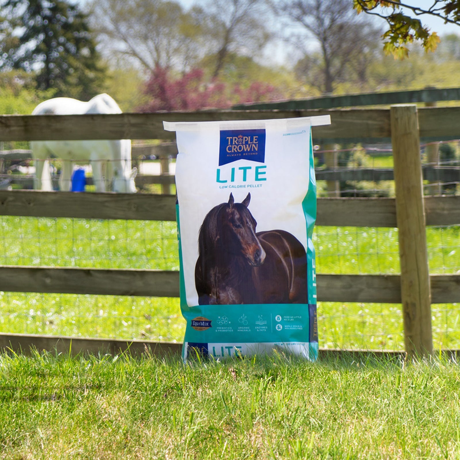 Triple Crown Lite bag on a pasture fence with horses grazing behind it