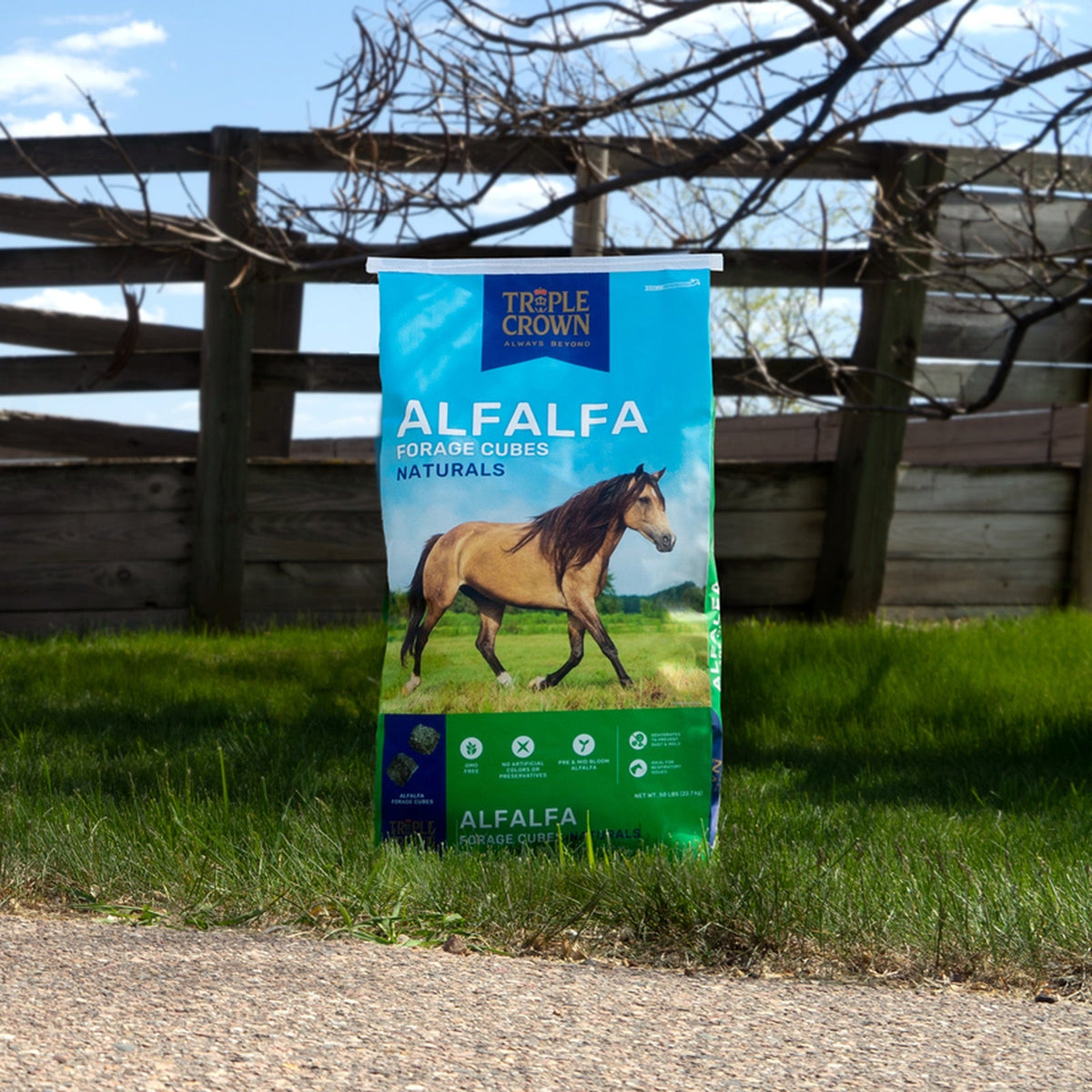 Triple Crown Naturals Alfalfa Forage Cubes bag standing on grass beside a paddock fence