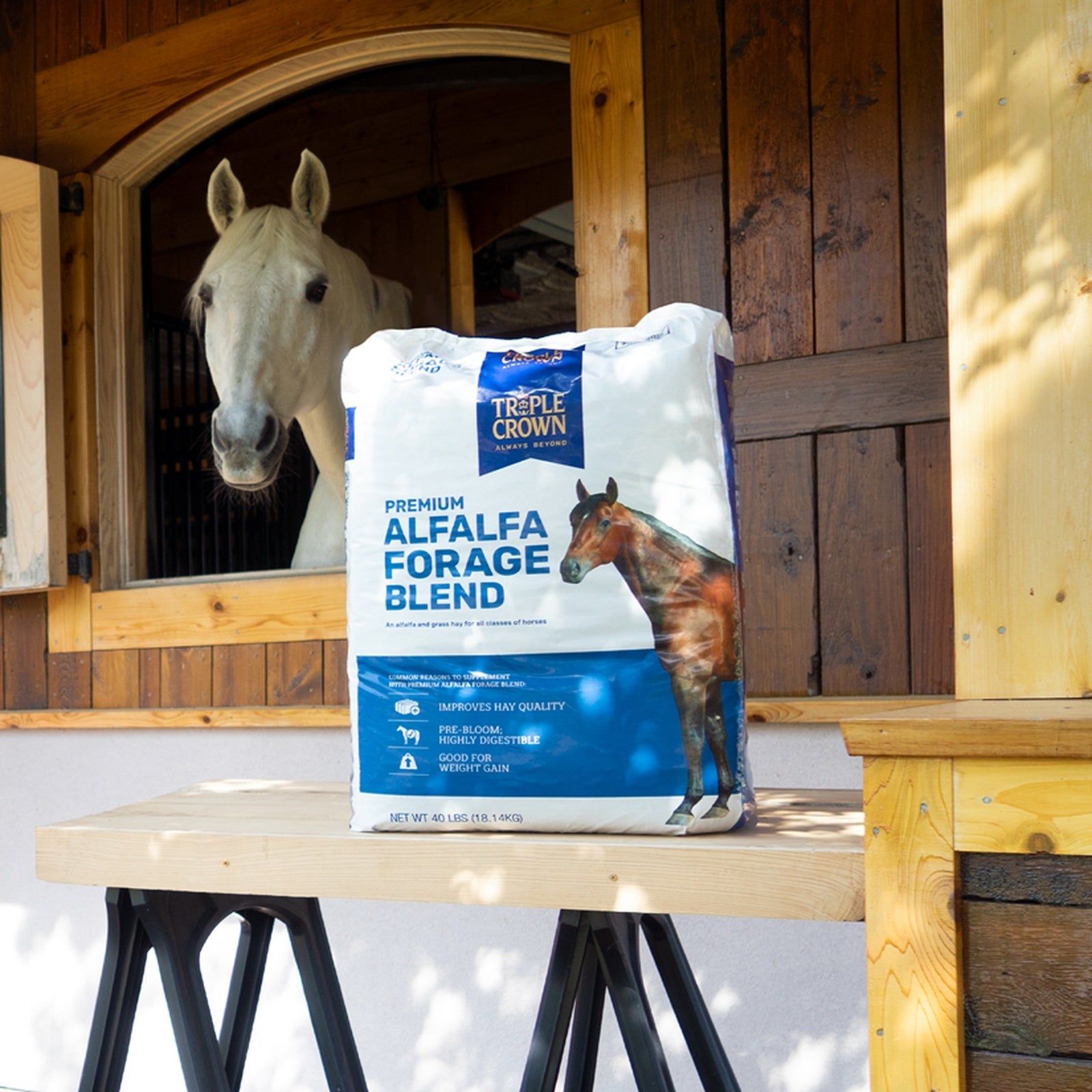 Triple Crown Premium Alfalfa Forage Blend bag on a table outside a stall with a grey horse looking on