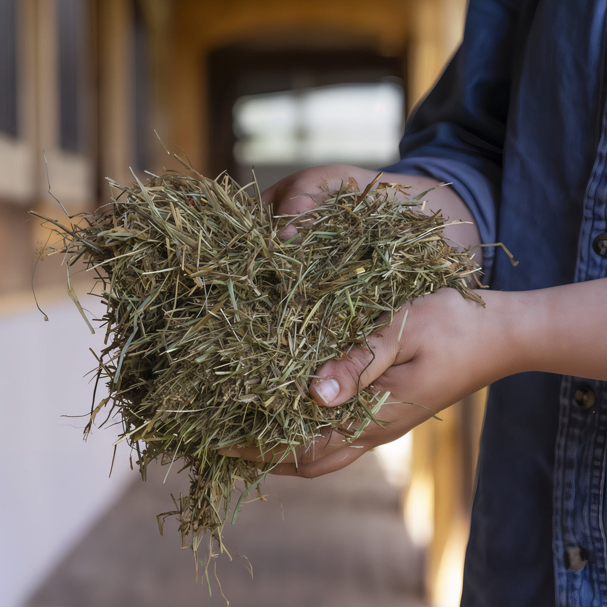 Handful of Triple Crown Safe Starch chopped fortified forage