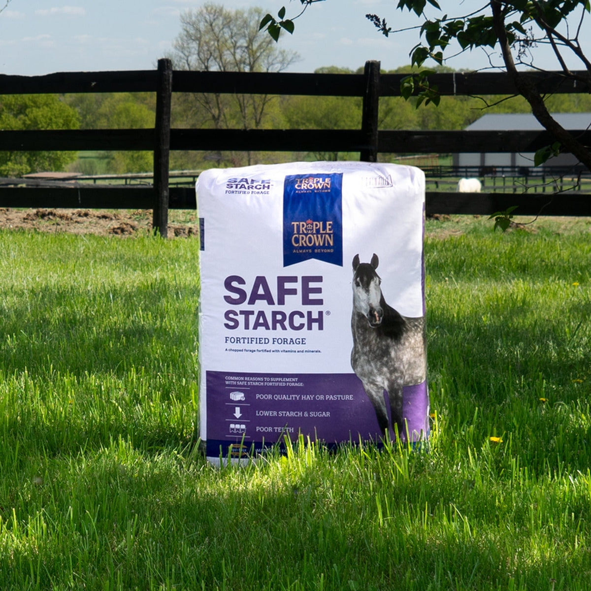 Triple Crown Safe Starch Fortified Forage bag standing in a green fenced pasture