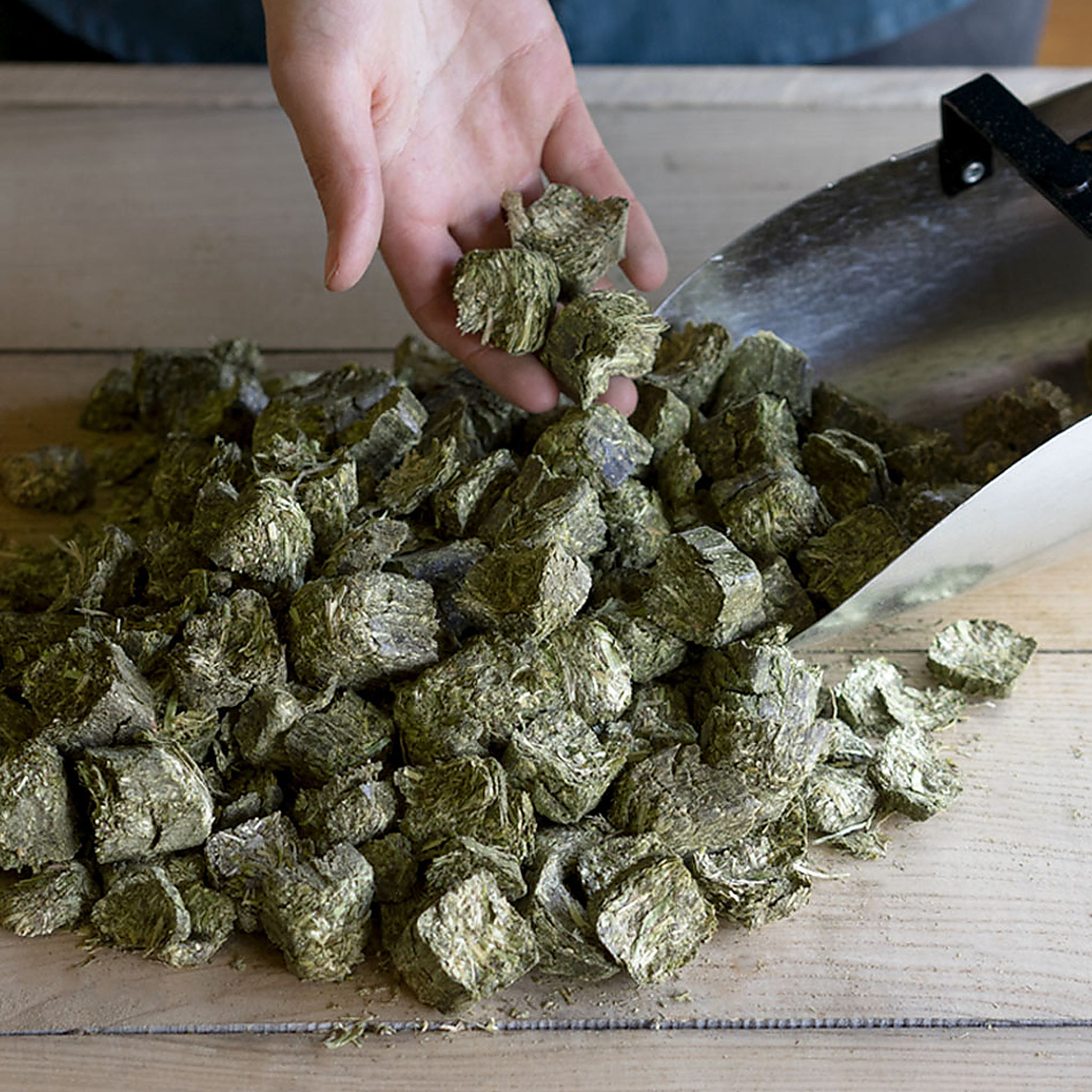 Close-up of Timothy Balance forage cubes held in hand beside a feed scoop