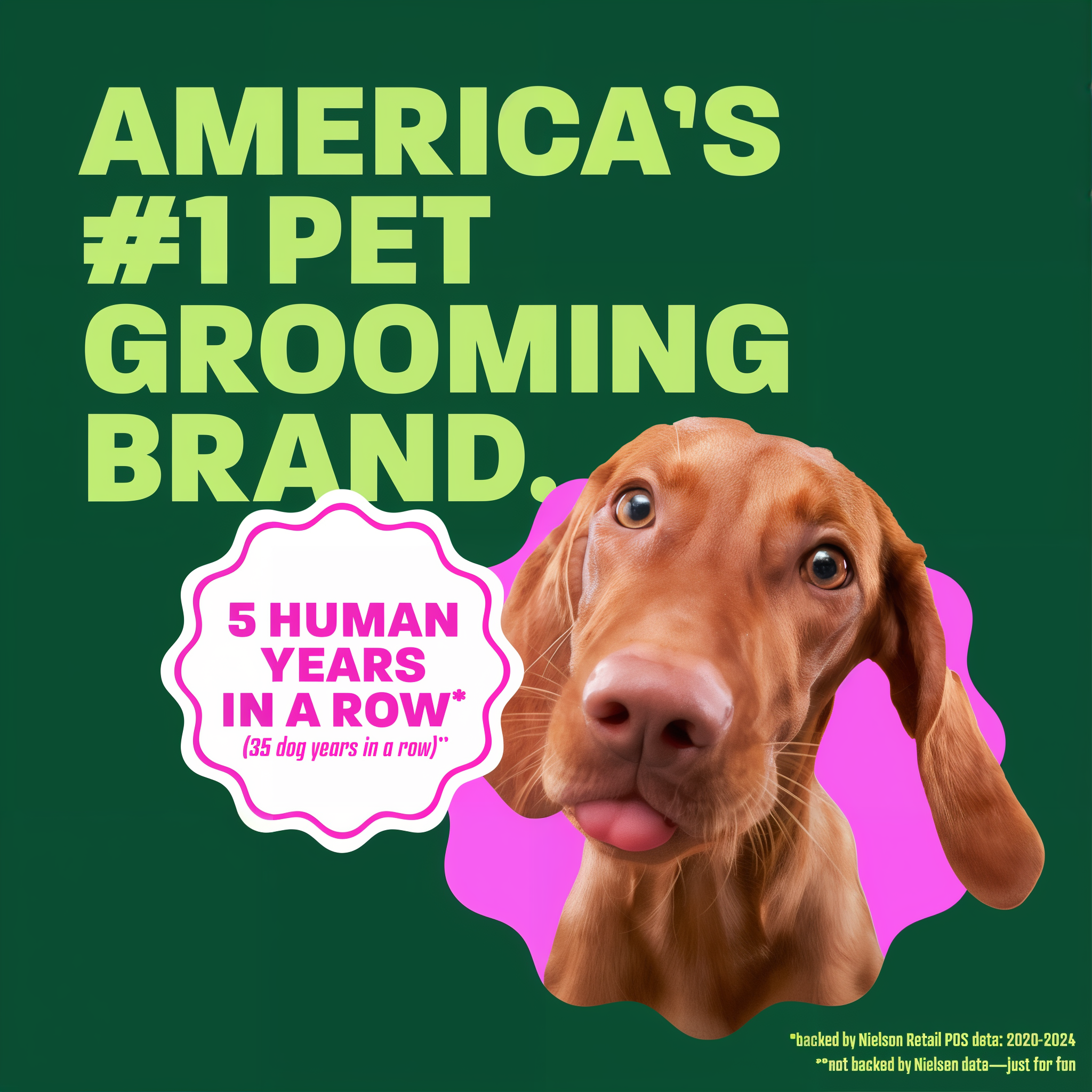 Vizsla head popping out. Text, "Americans 1 Pet grooming brand".