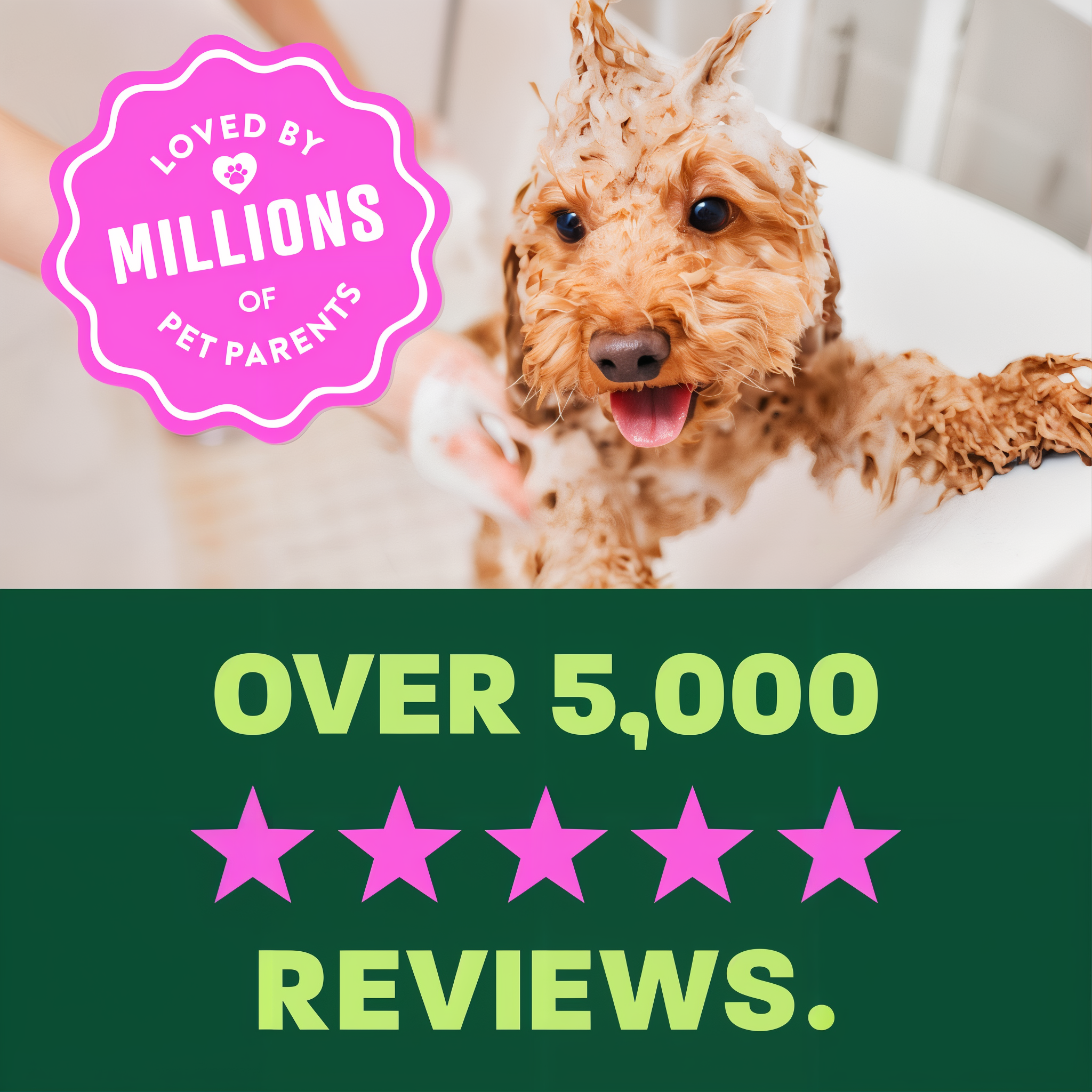 light green and green background, "Loved by millions" 5 star reviews.