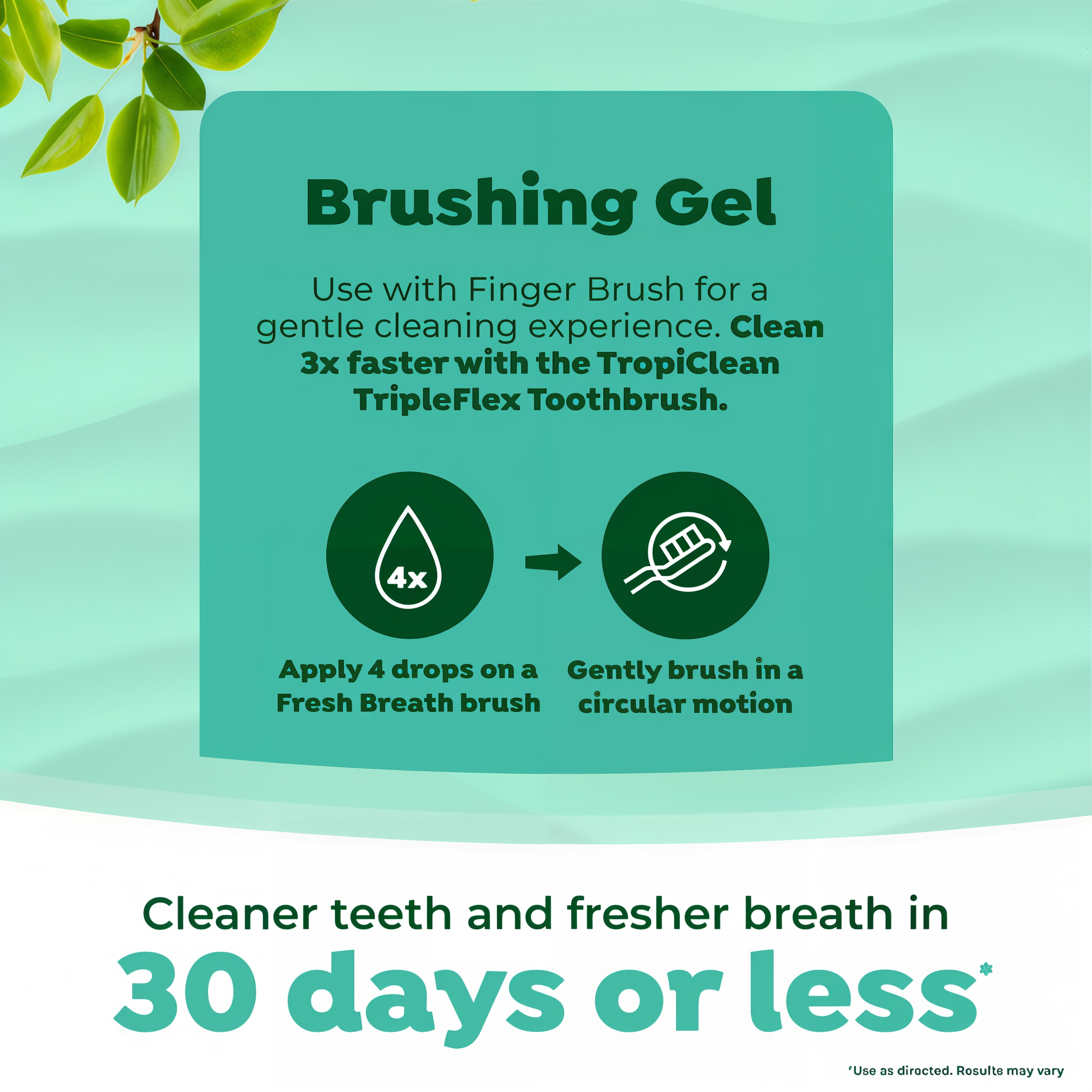 Brushing gel directions showing four drops on a Fresh Breath brush for cleaner teeth in 30 days or less