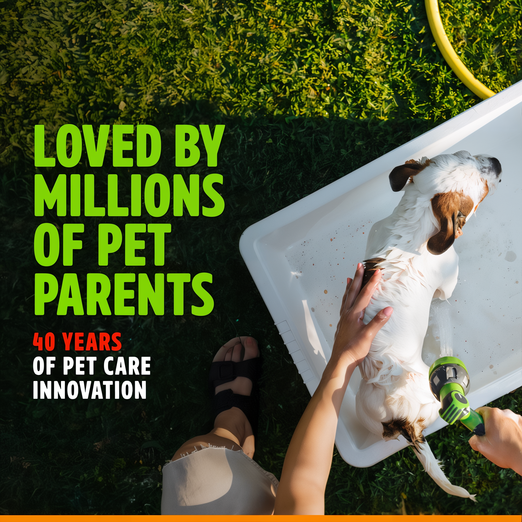 Loved by millions of pet parents: 40 years of pet care innovation