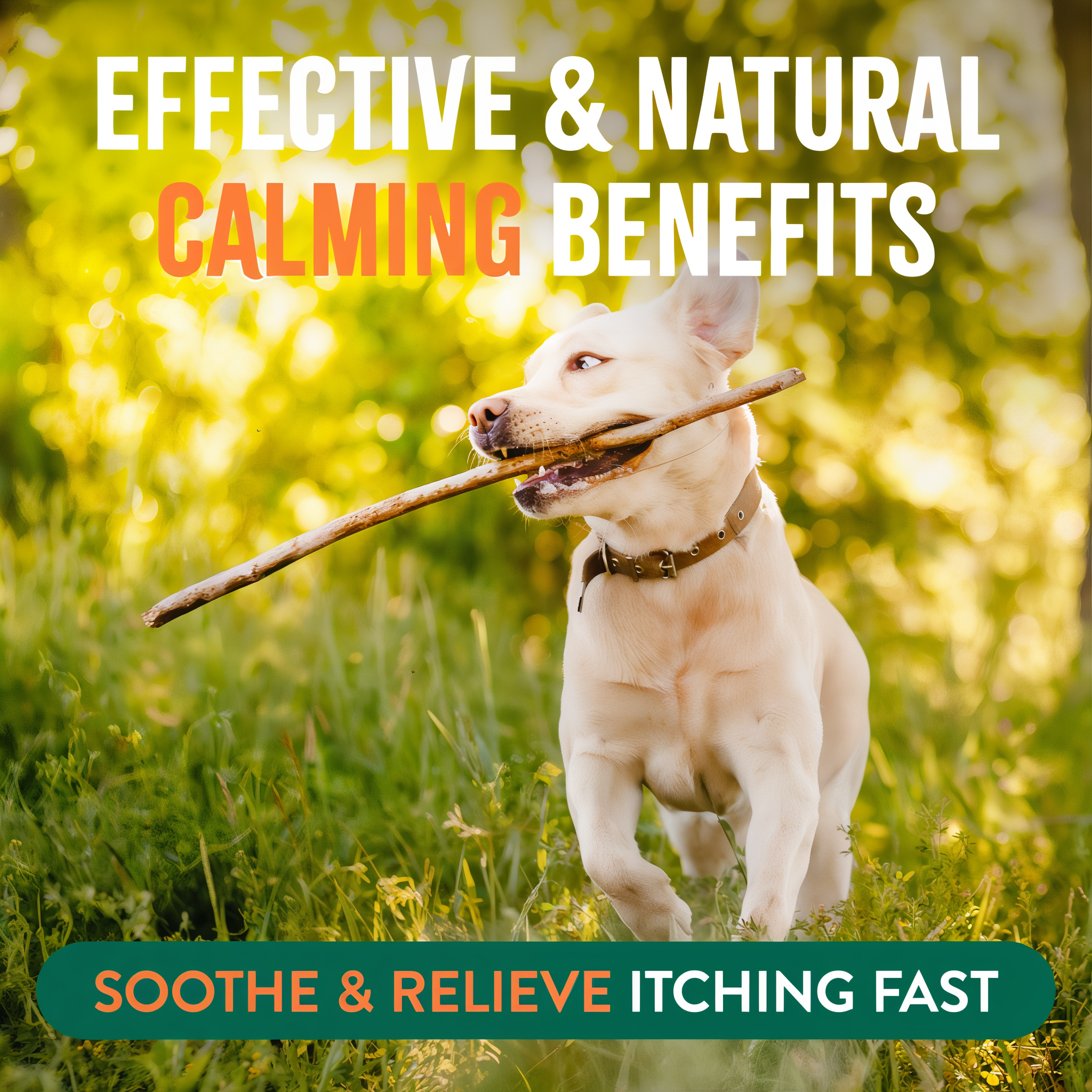 TropiClean Natural Flea + Tick Bite Relief Spray for Pets. Dog running with a stick in grass, text about calming benefits