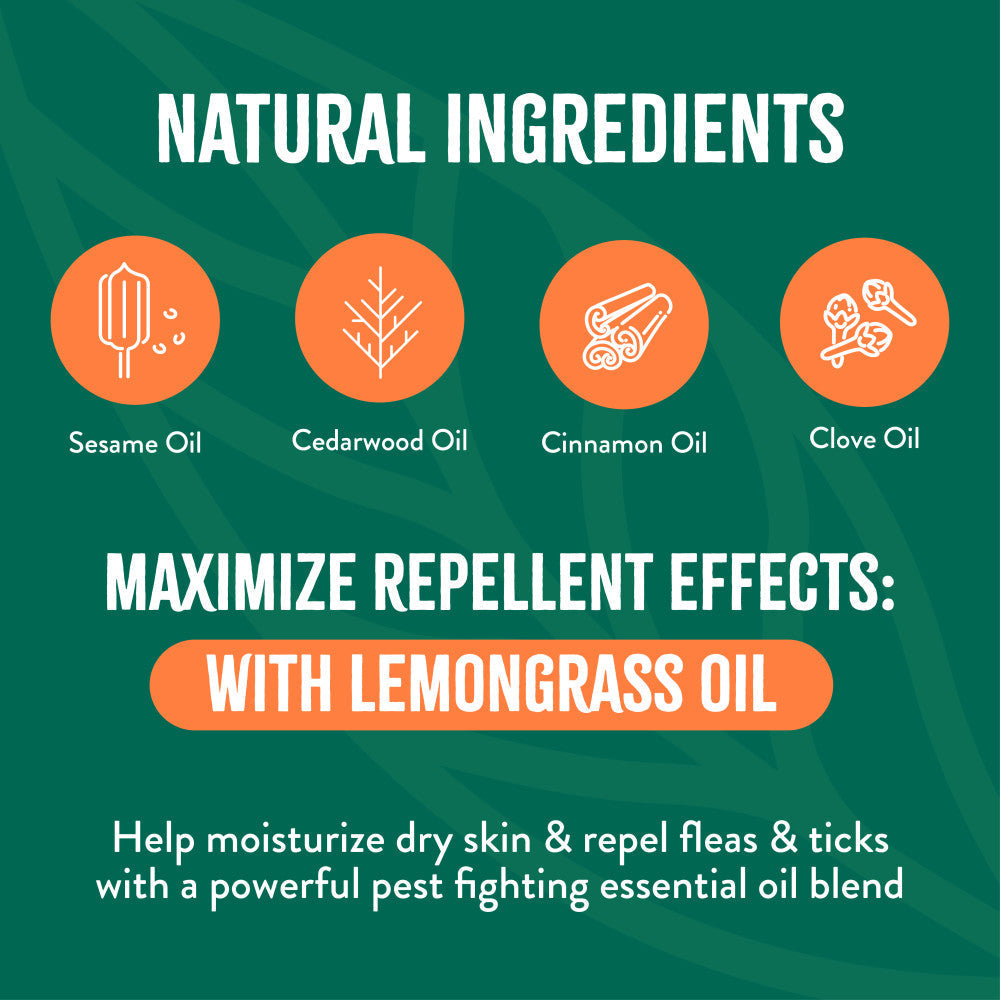 Natural ingredients: sesame oil, cedarwood oil, cinnamon oil, and clove oil maximized with lemongrass oil