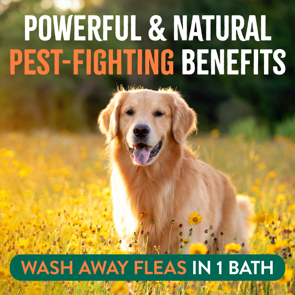 Powerful and natural pest-fighting benefits: wash away fleas in one bath