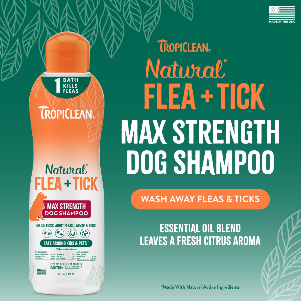 TropiClean Natural Flea and Tick Max Strength Dog Shampoo washes away fleas and ticks with an essential oil blend