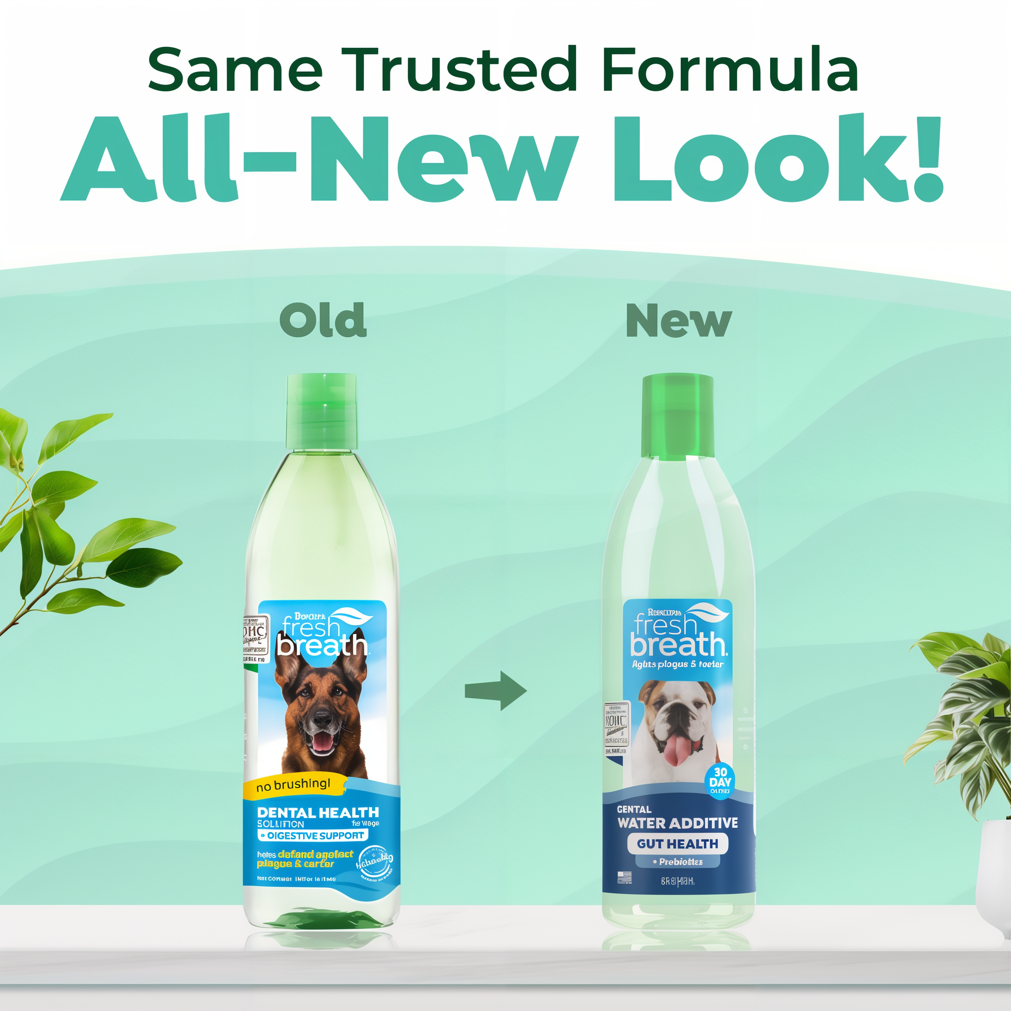 Comparison of old and new bottle designs of TropiClean Fresh Breath Dental Water Additive Plus Gut Health for Dogs with text 'Same Trusted Formula All-New Look!'