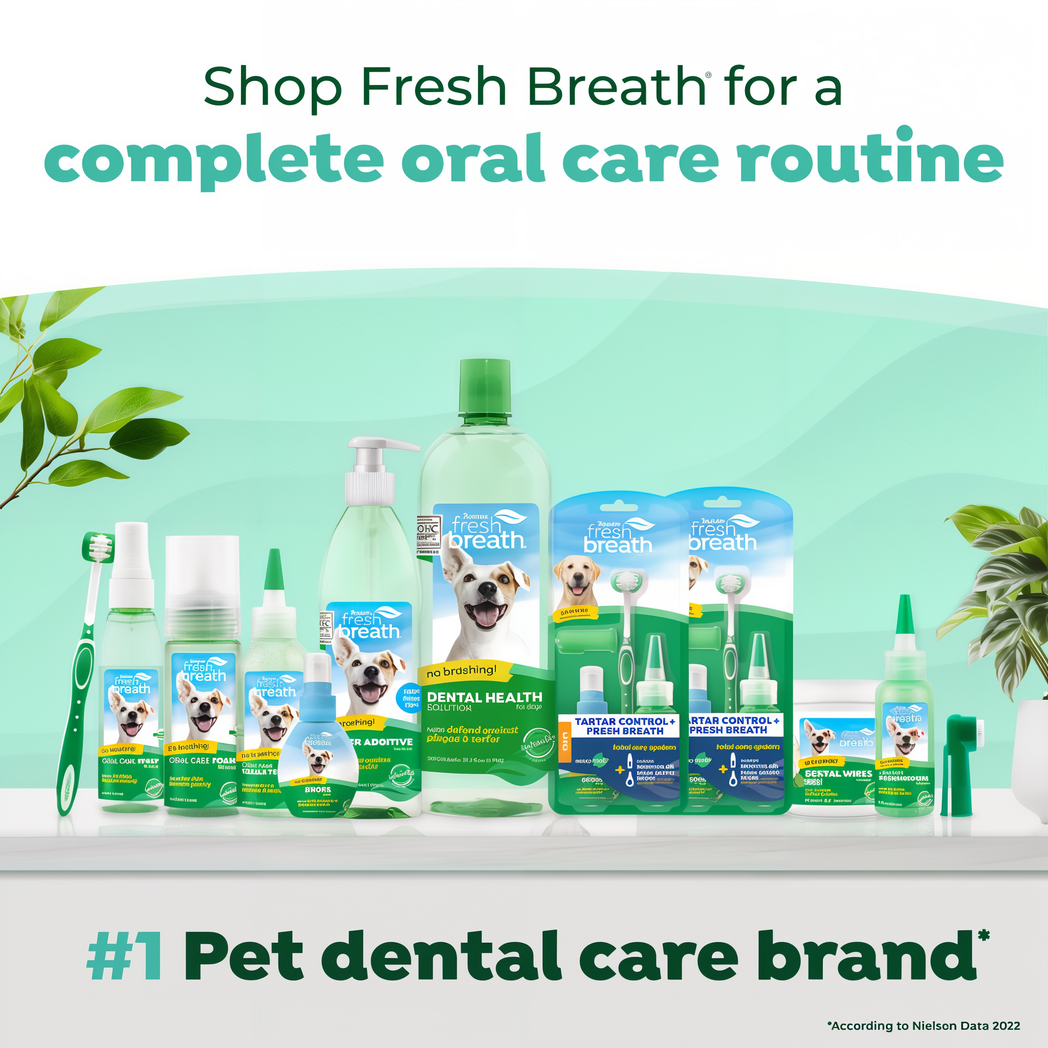 Assorted TropiClean Fresh Breath pet dental care products on a white surface with a green background, featuring the brand 'Fresh Breath'.