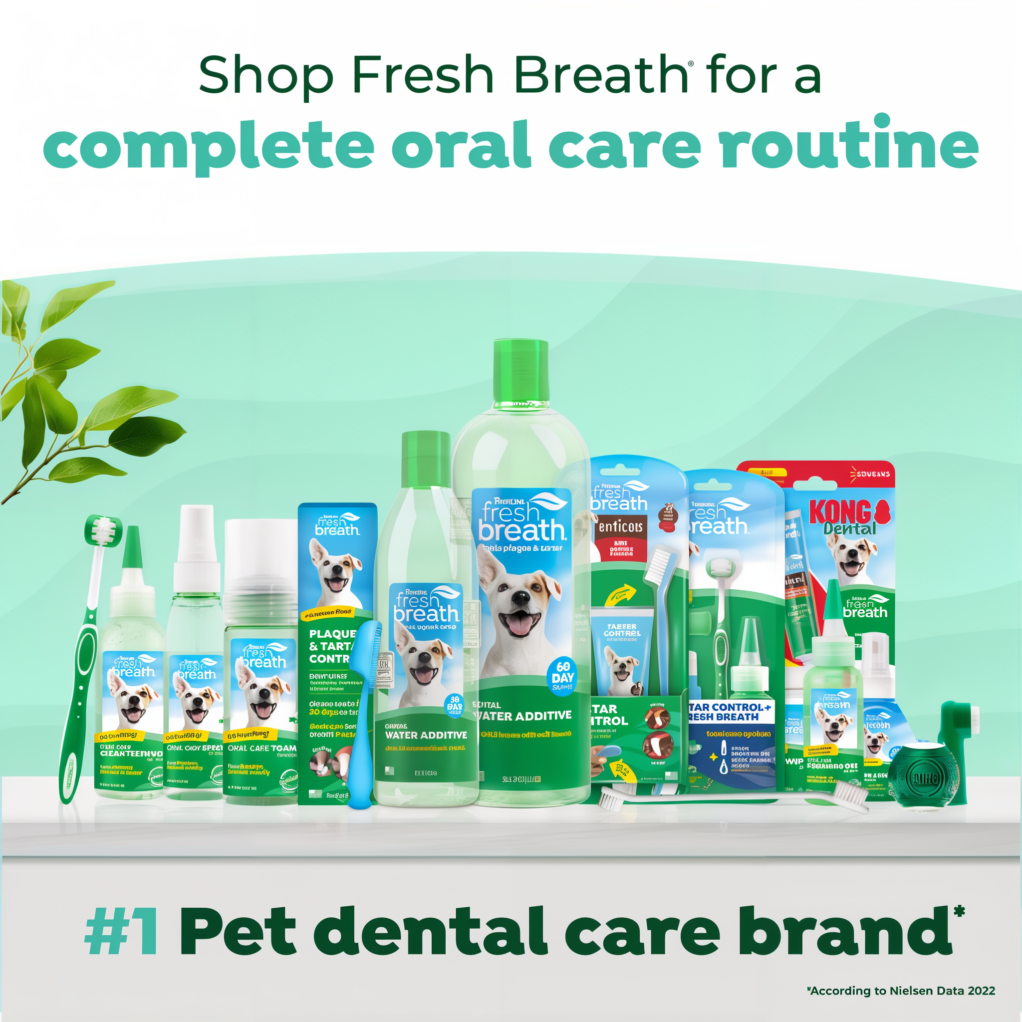 Assorted pet dental care products on a white surface with a green background