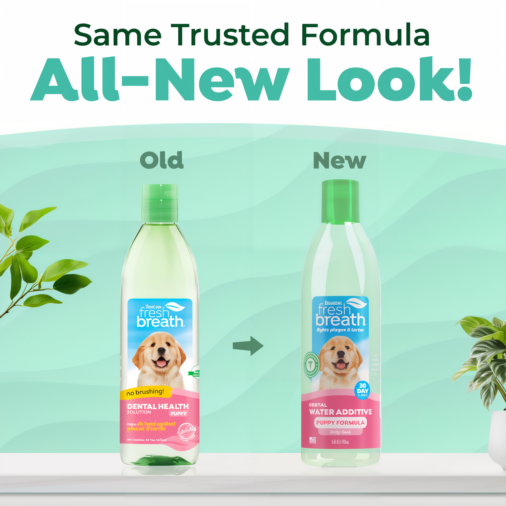 Comparison of old and new bottle designs of a dental water additive for dogs