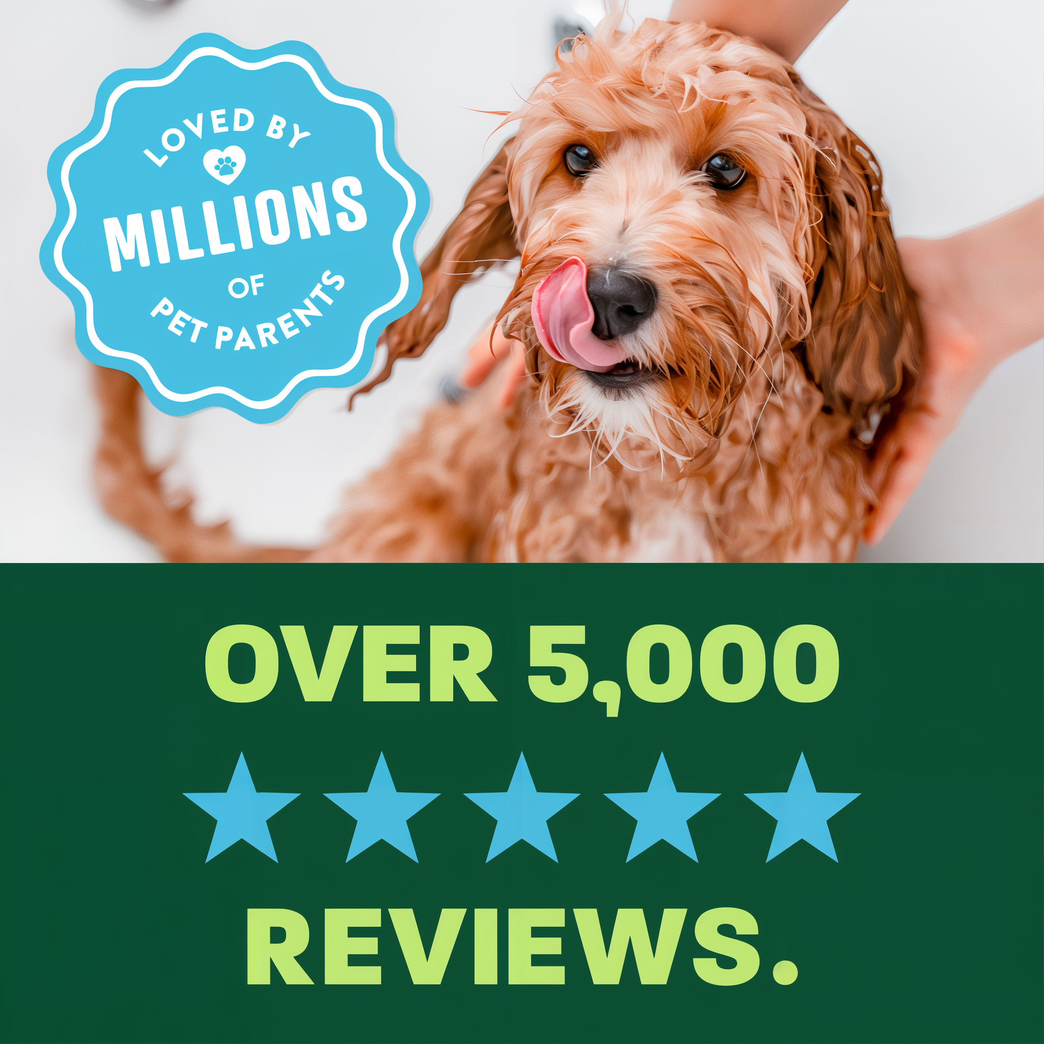 light green and green background, "Loved by millions" 5 star reviews.