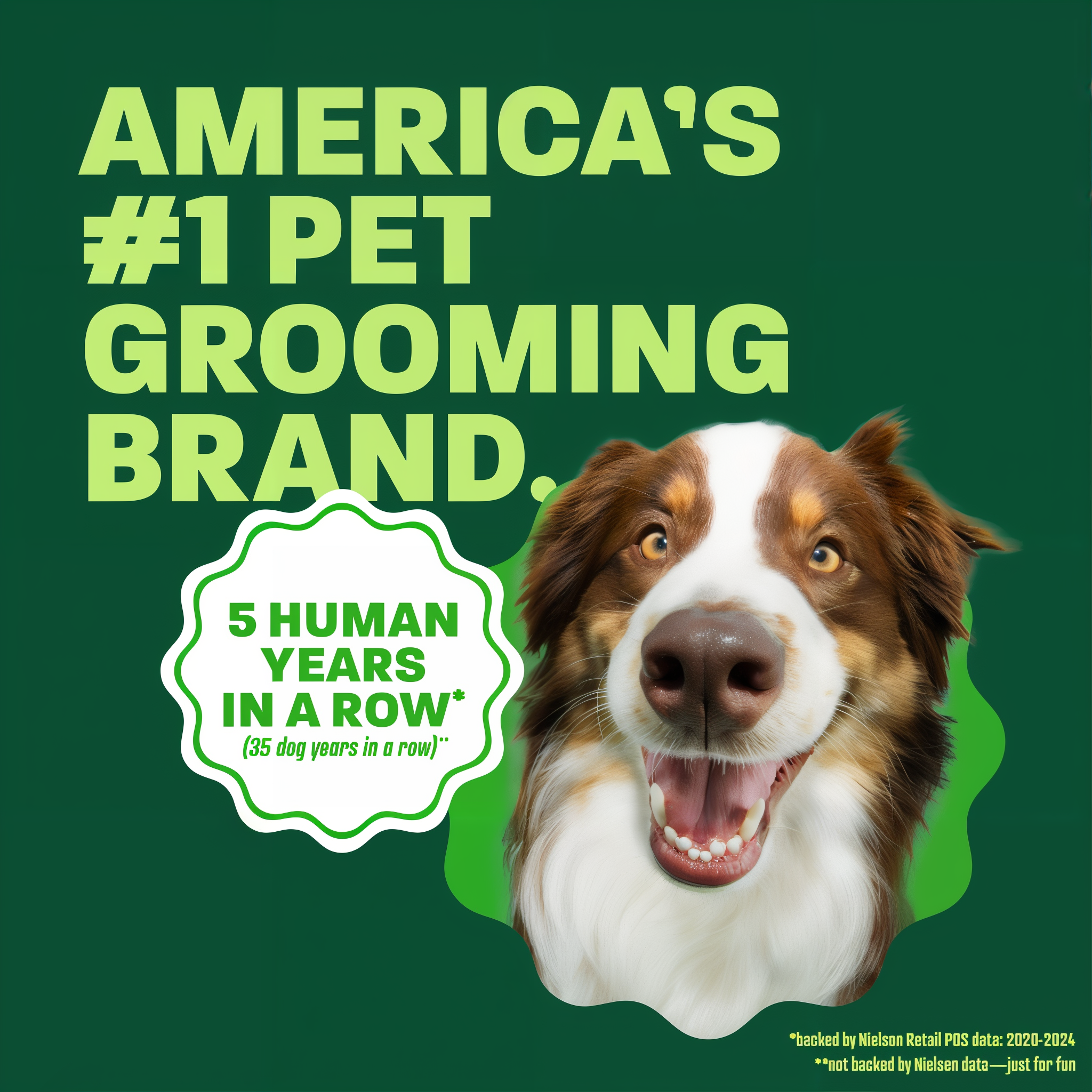 Aussie head popping out. Text, "Americans 1 Pet grooming brand".