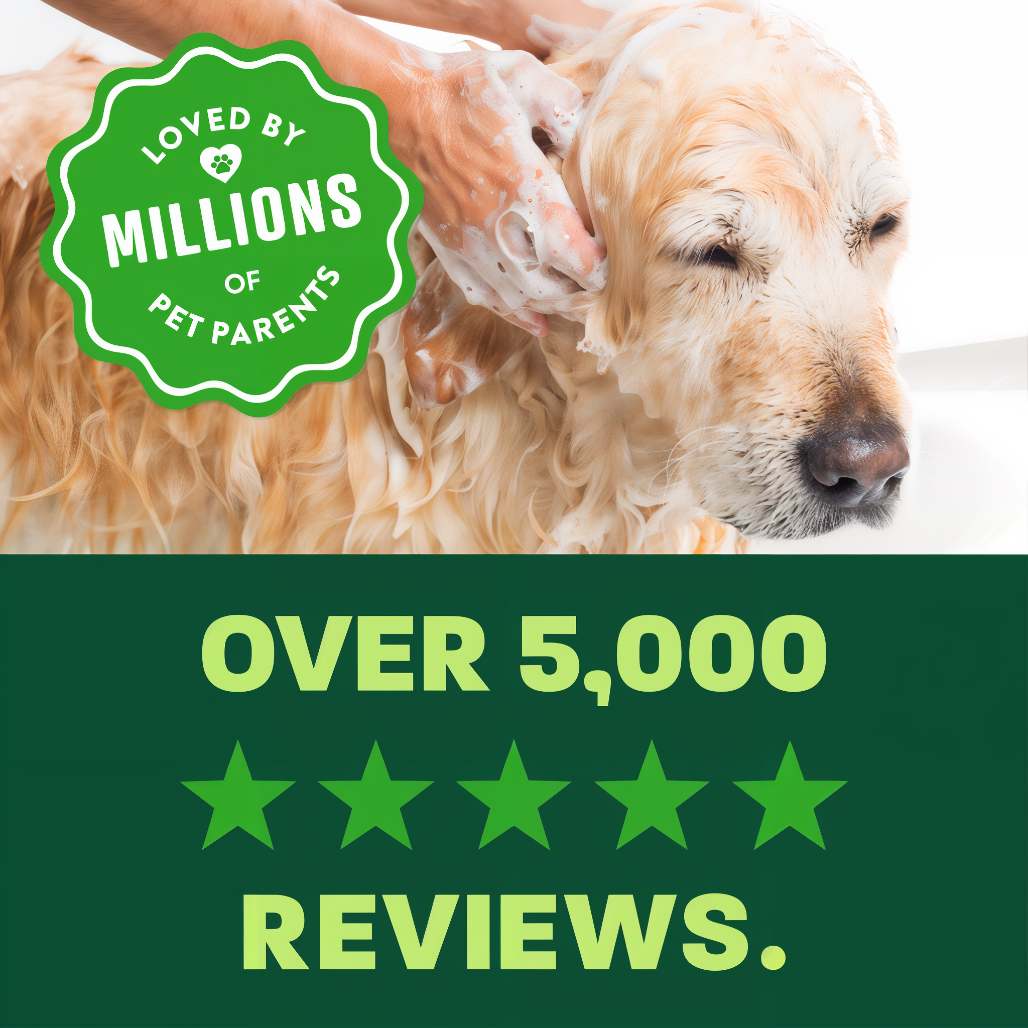 light green and green background, "Loved by millions" 5 star reviews.