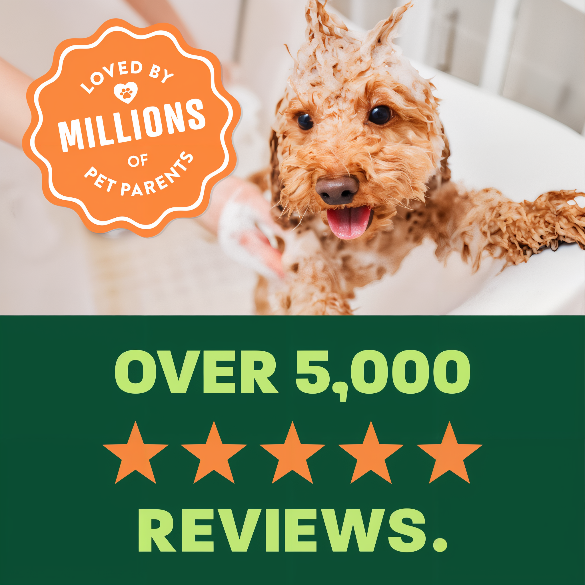 light green and green background, "Loved by millions" 5 star reviews.