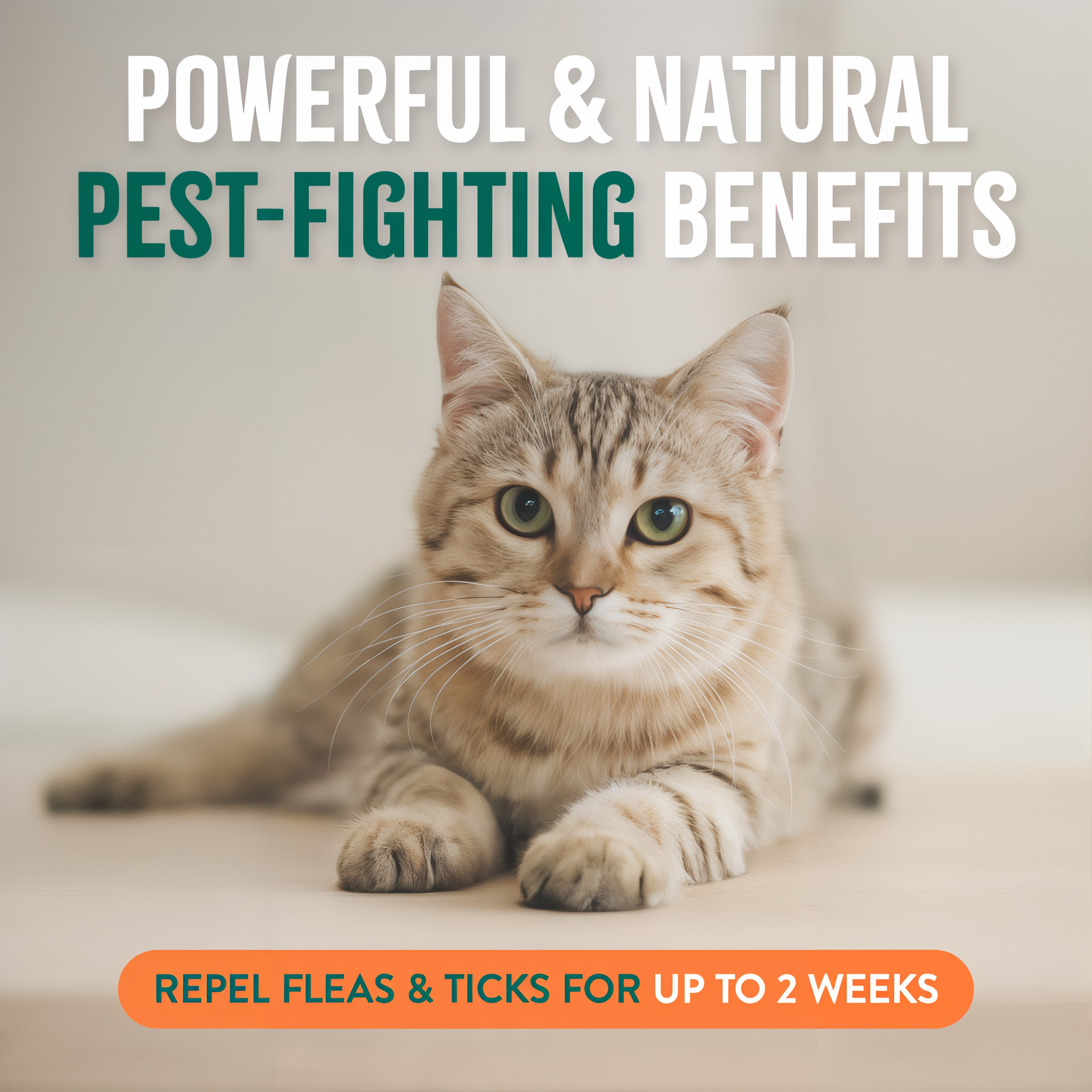 Cat lying on a surface with text about pest-fighting benefits and flea tick repellent.