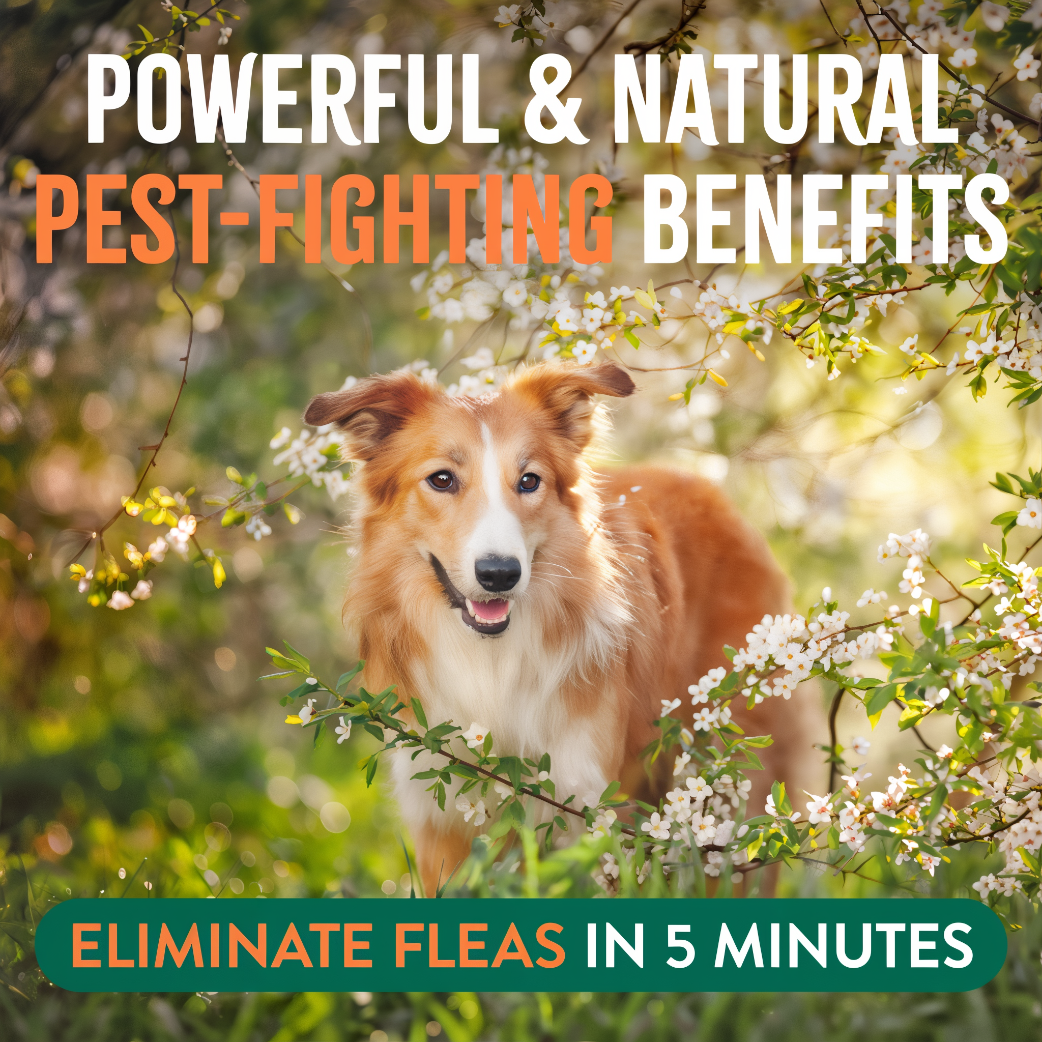 TropiClean Flea and Tick Pet & Bedding Spray for Dogs. Dog standing among flowers with text about powerful and natural pest-fighting benefits and flea elimination.