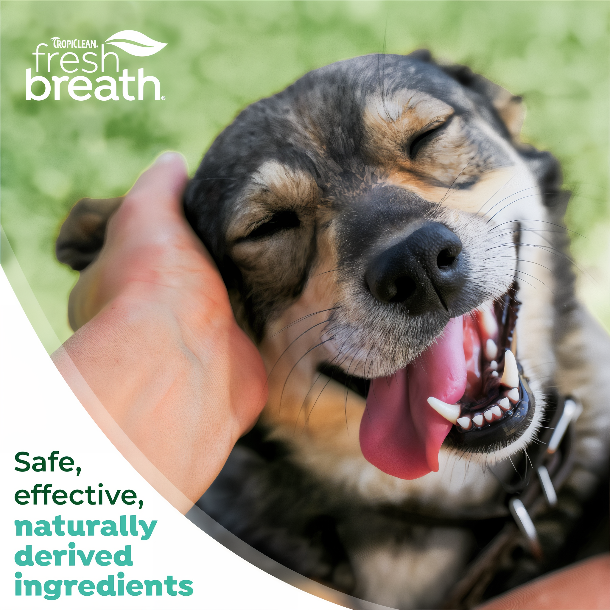 Safe and effective naturally derived ingredients shown with a happy dog