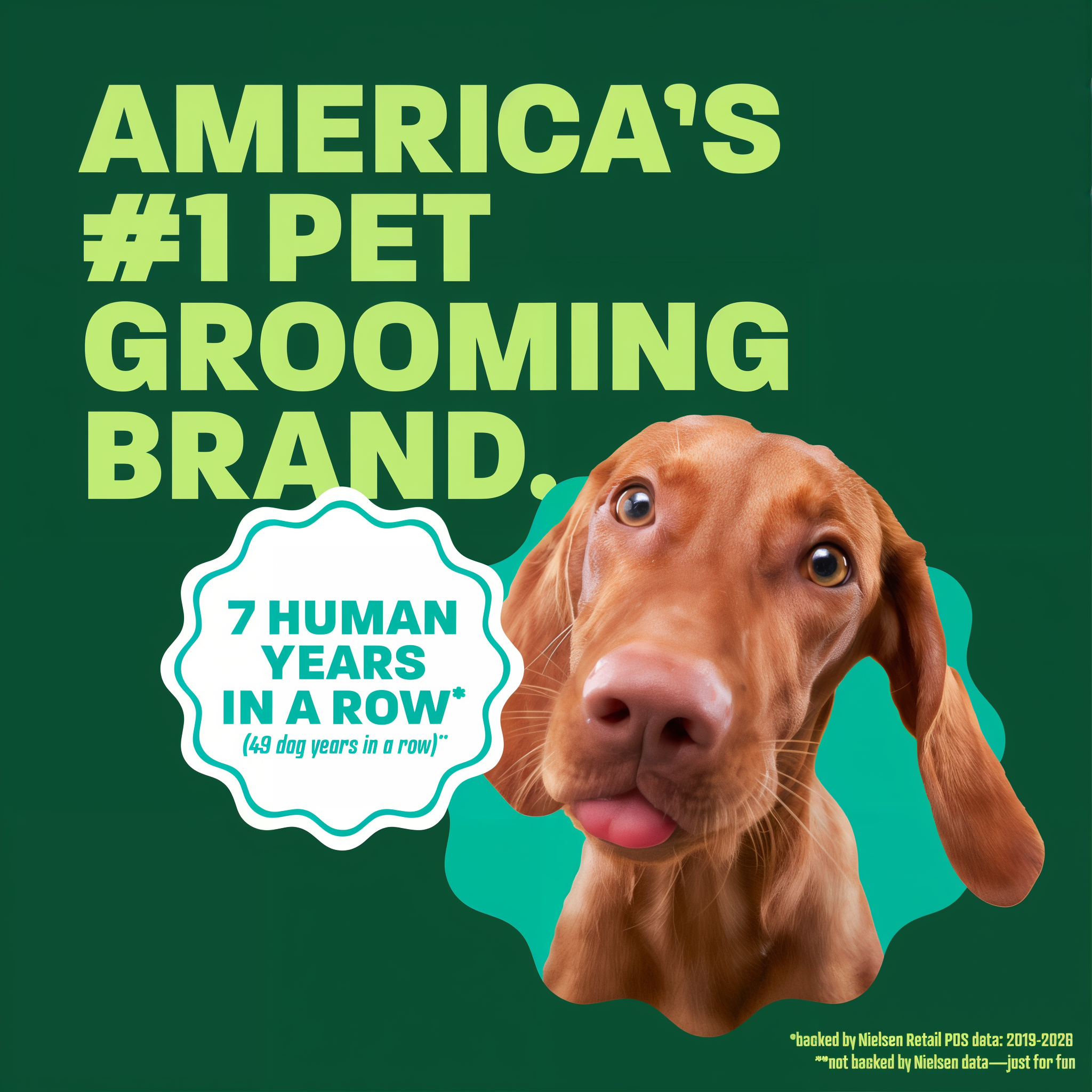 Vizsla head popping out. Text, "Americans 1 Pet grooming brand".