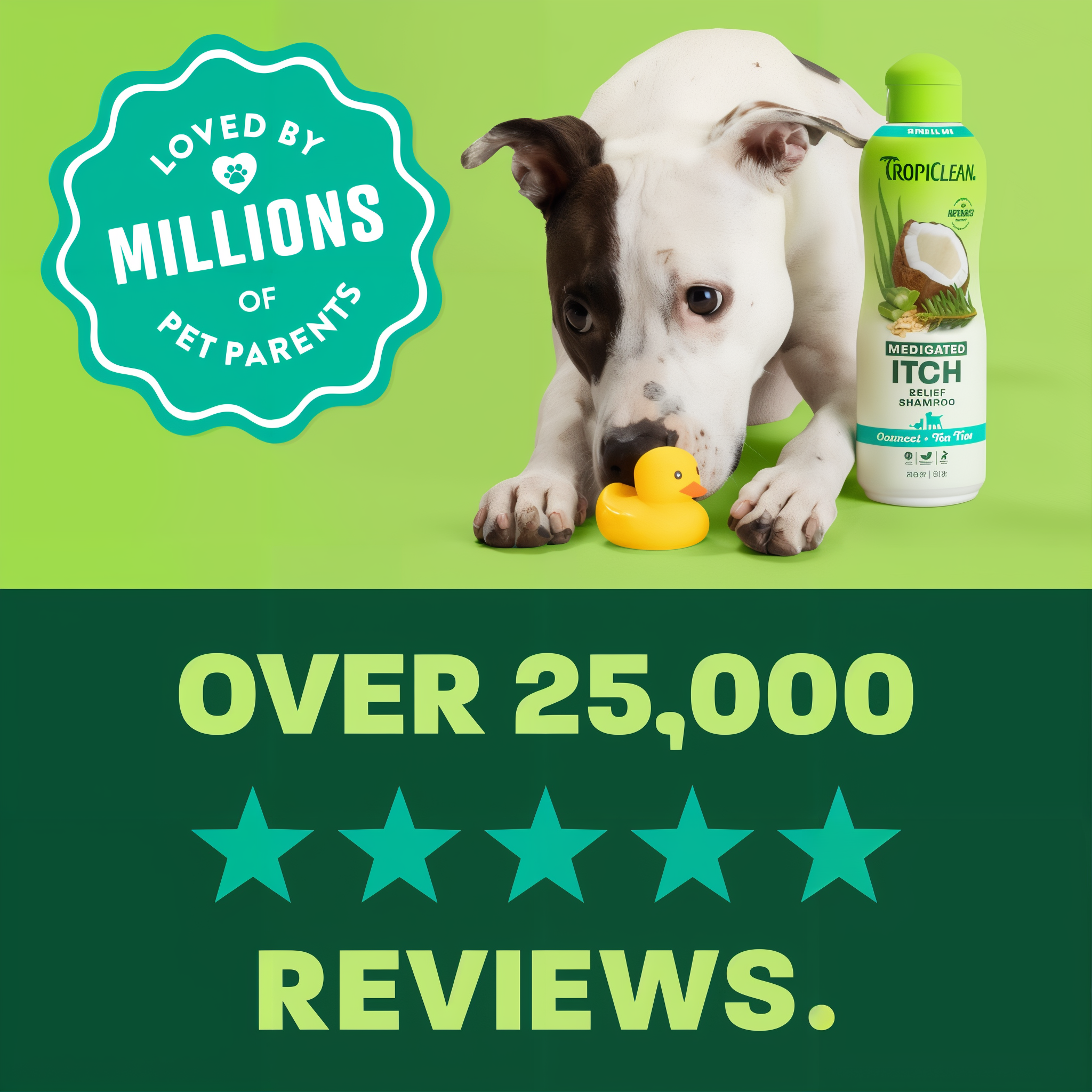 light green and green background, "Loved by millions" 5 star reviews.
