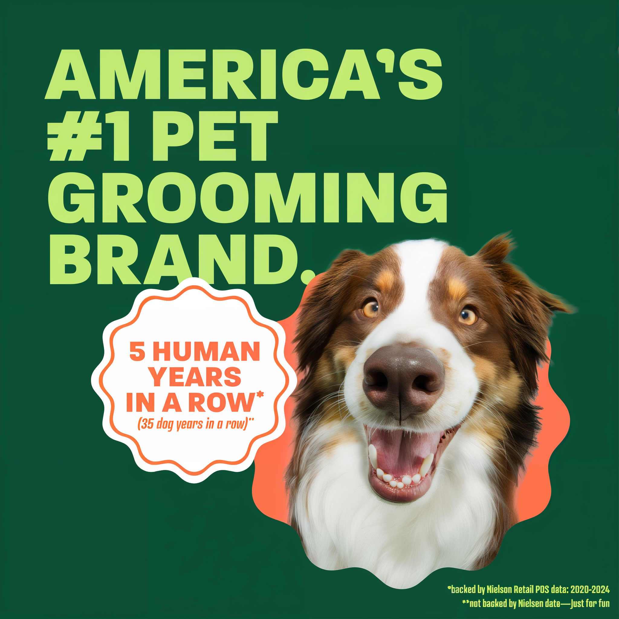 Aussie head popping out. Text, "Americans 1 Pet grooming brand".