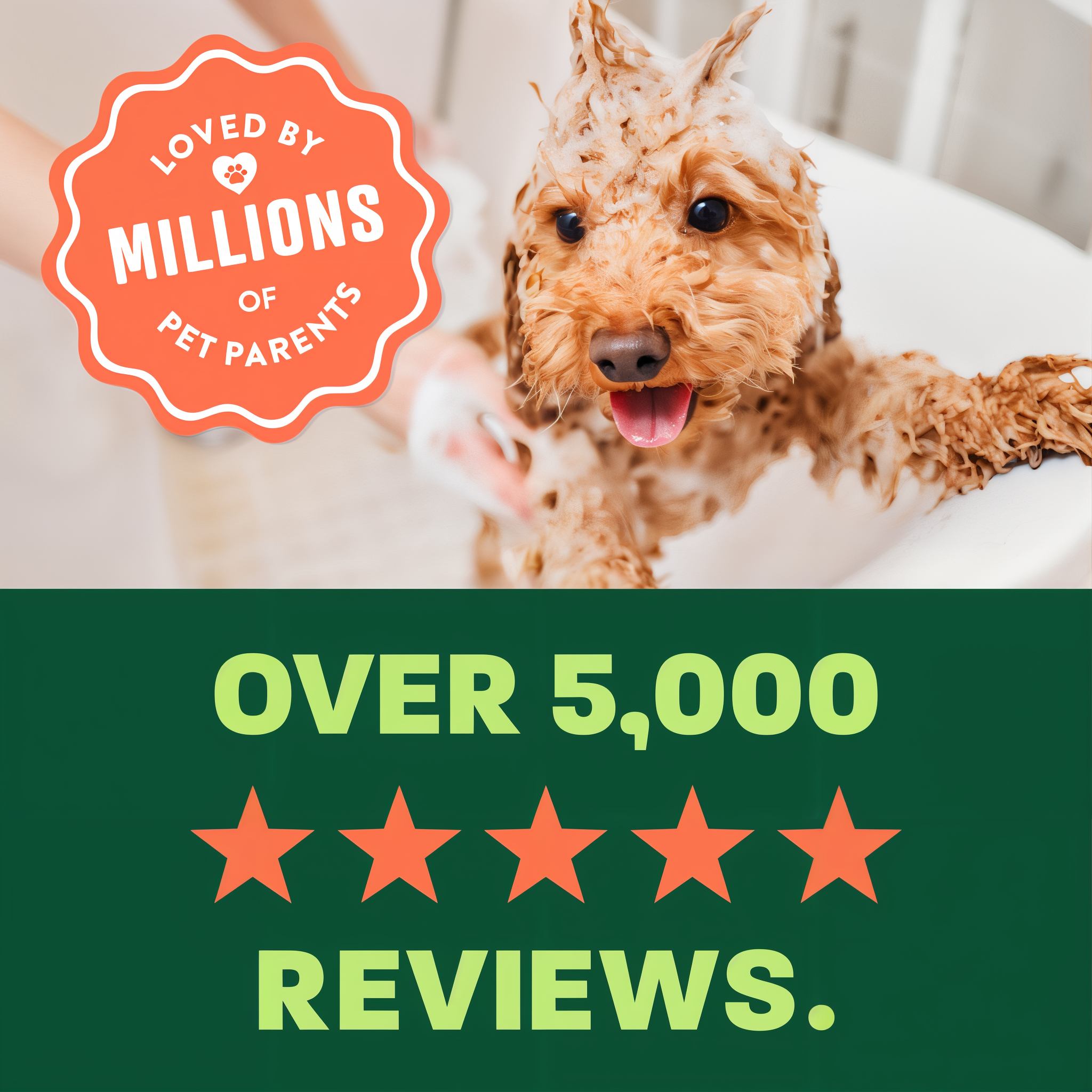 light green and green background, "Loved by millions" 5 star reviews.