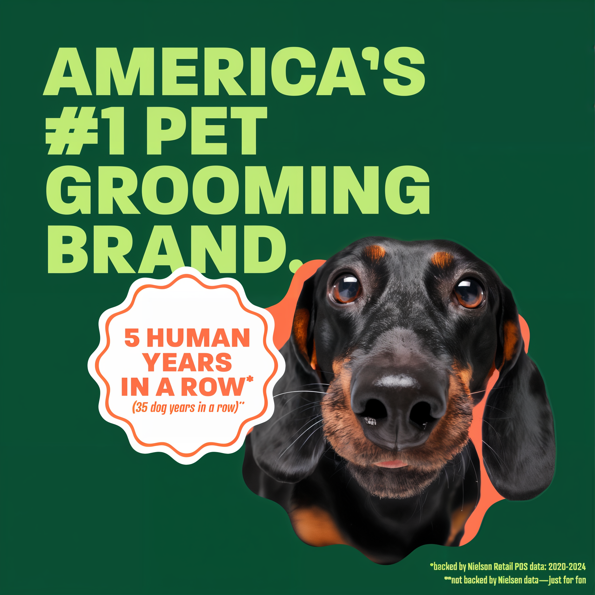 Dog with text 'America's 1 Pet Grooming Brand' on a green background
