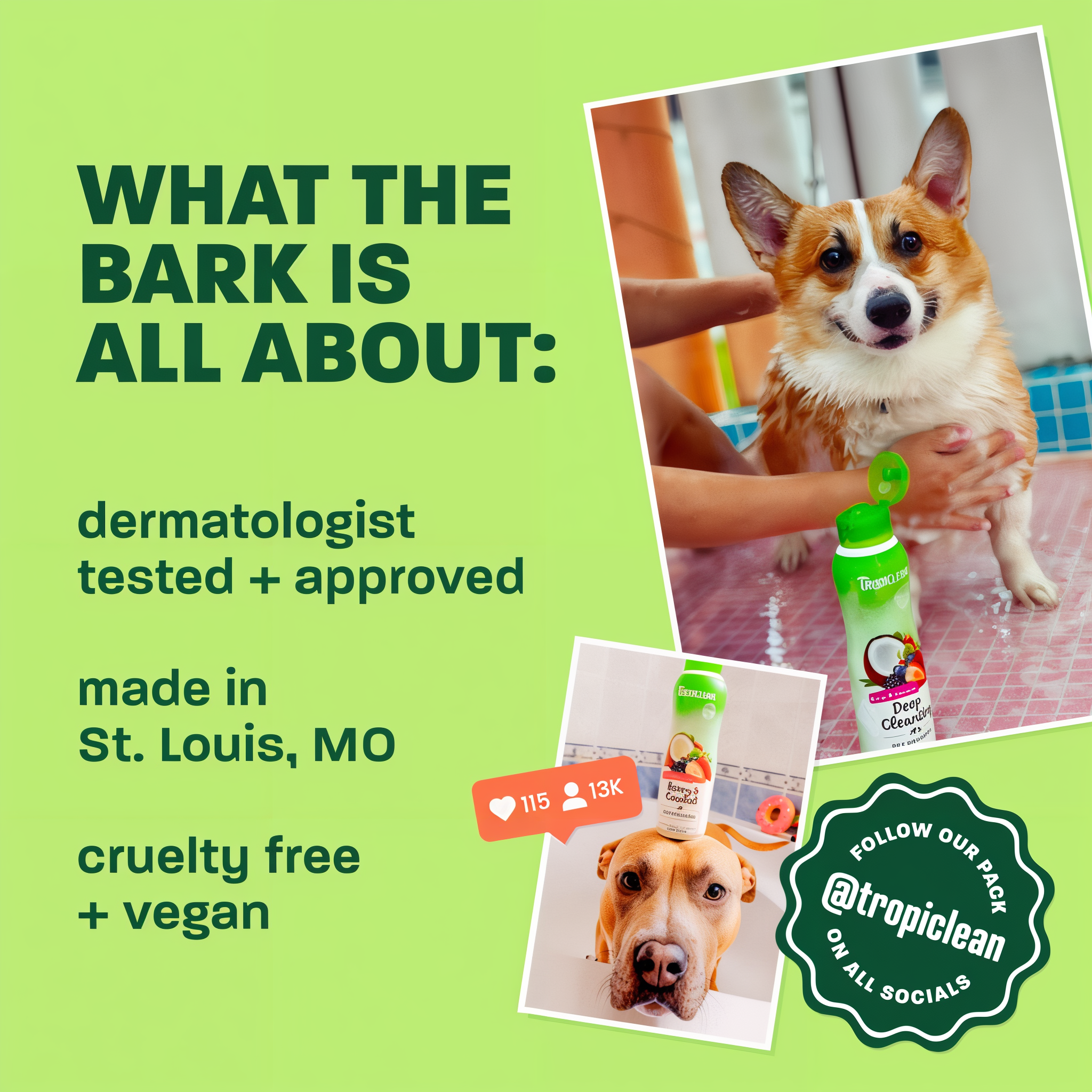 What the bark is all about.