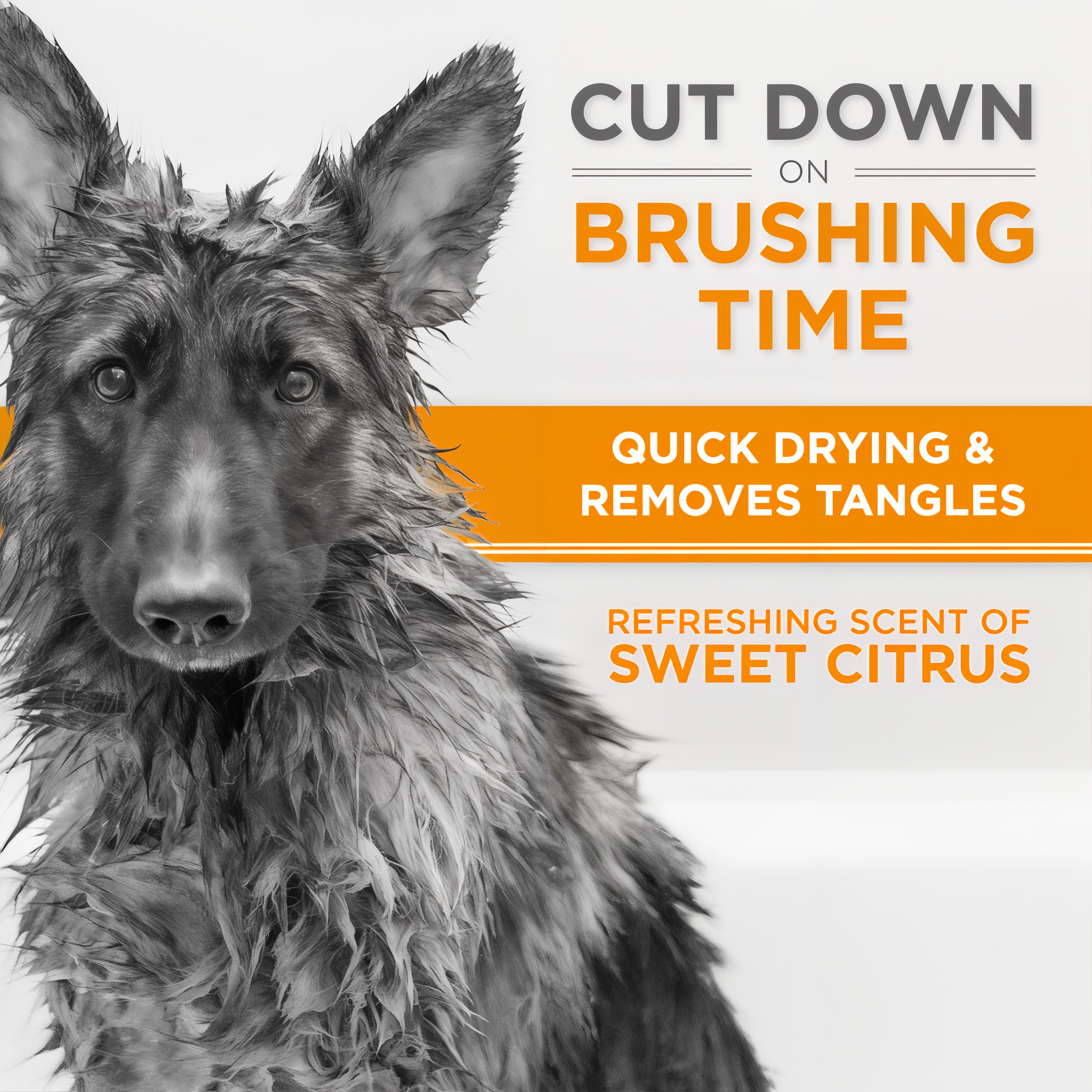 TropiClean Perfect Fur Thick Double Coat Shampoo for Dogs. Dog with text about grooming product features on a white background.