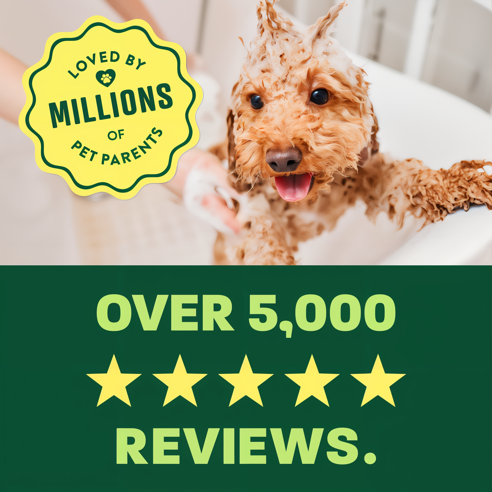 Loved by millions of pet parents with over 5000 five star reviews