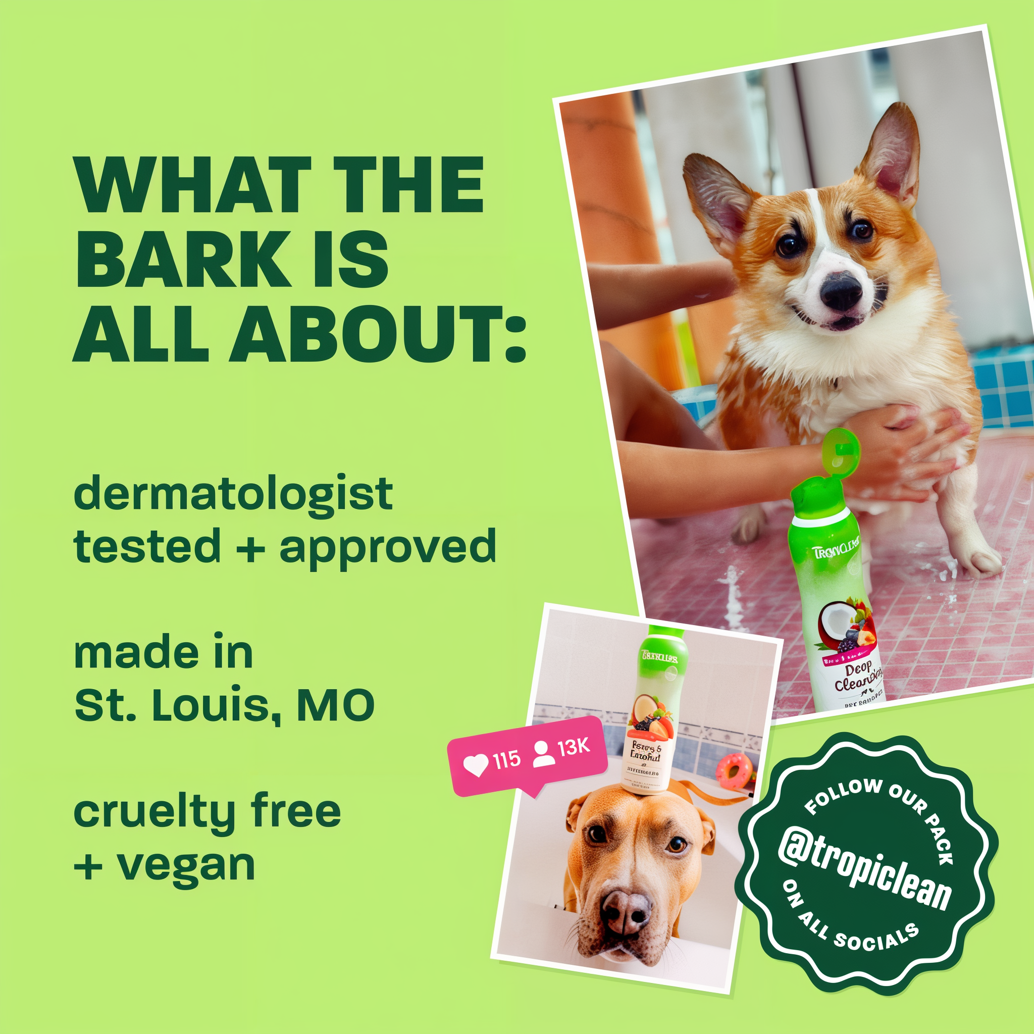 Dermatologist tested and approved, made in St. Louis, cruelty free and vegan panel