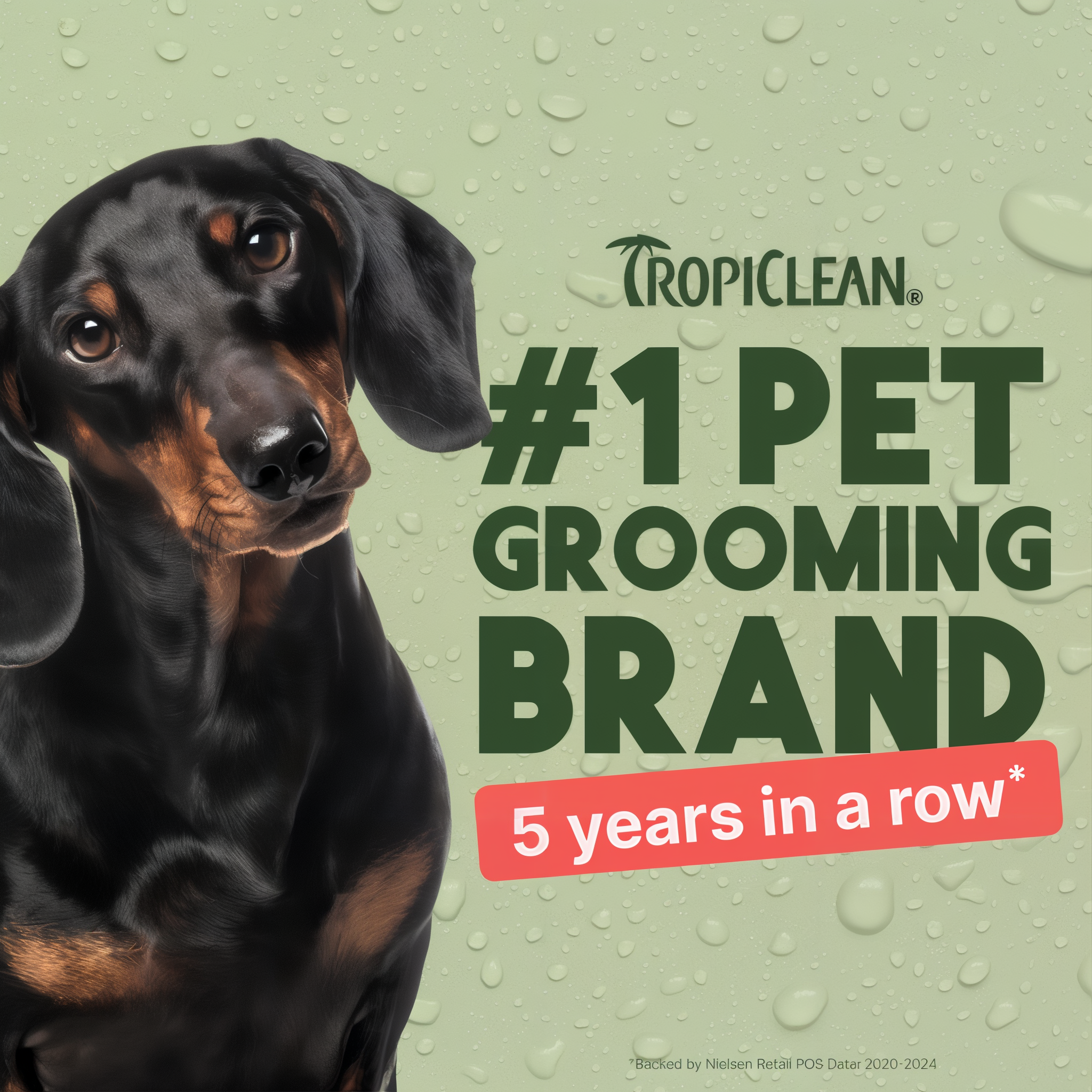 Dachshund with Tropiclean branding on a green background