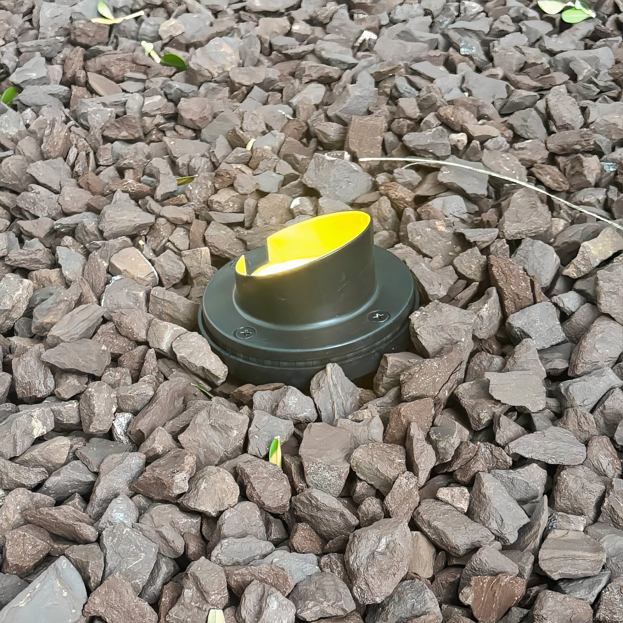 Tru-Scapes Sealed In-Ground Well Light TS-B203 — landscape uplighting application at dusk