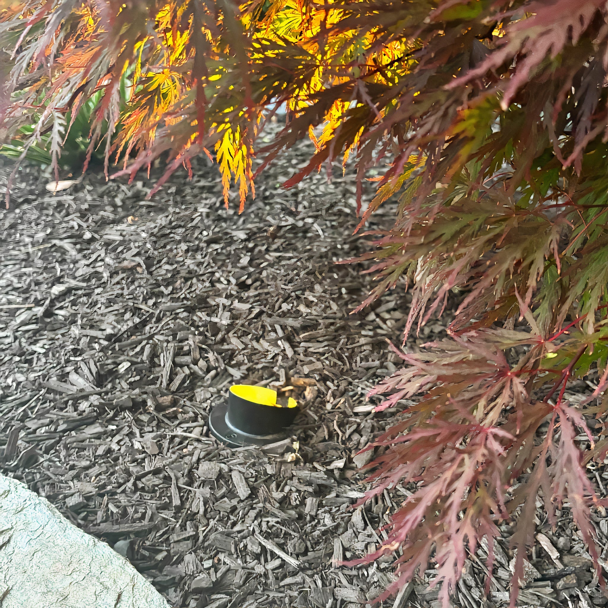 Tru-Scapes Sealed In-Ground Well Light TS-B203 — outdoor accent landscape lighting