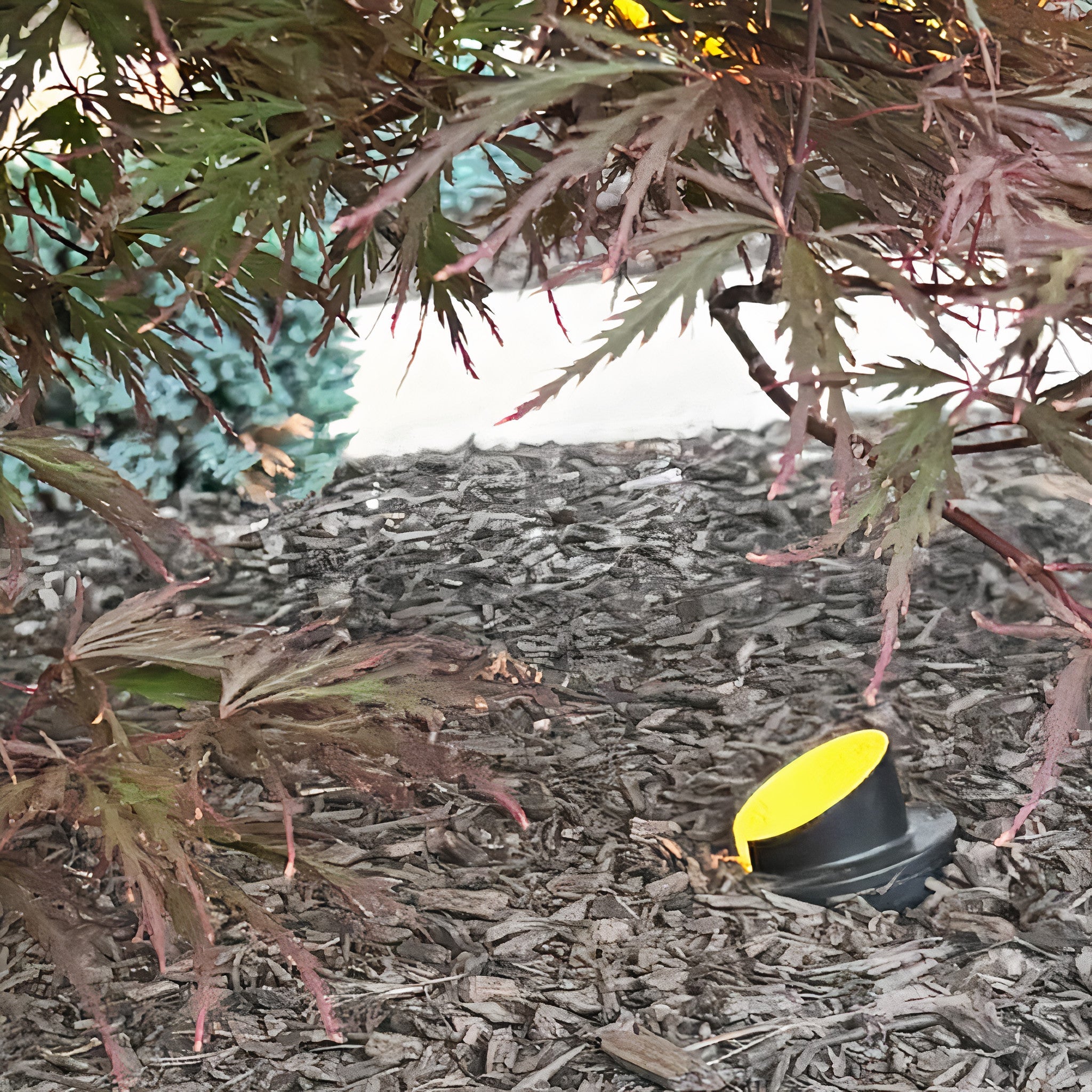 Tru-Scapes Sealed In-Ground Well Light TS-B203 — wall and statue accent application