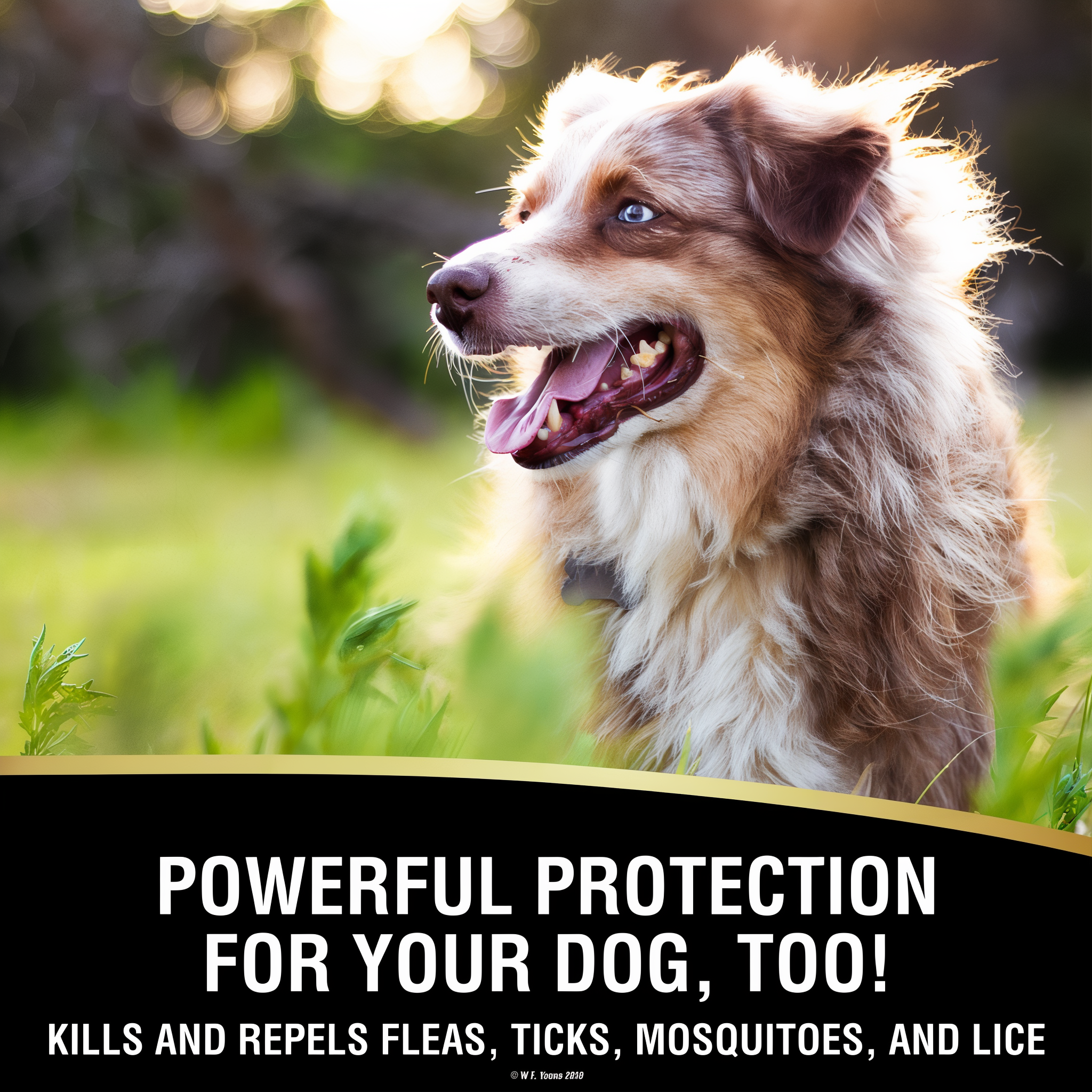 UltraShield EX insecticide and repellent, powerful protection for dogs too