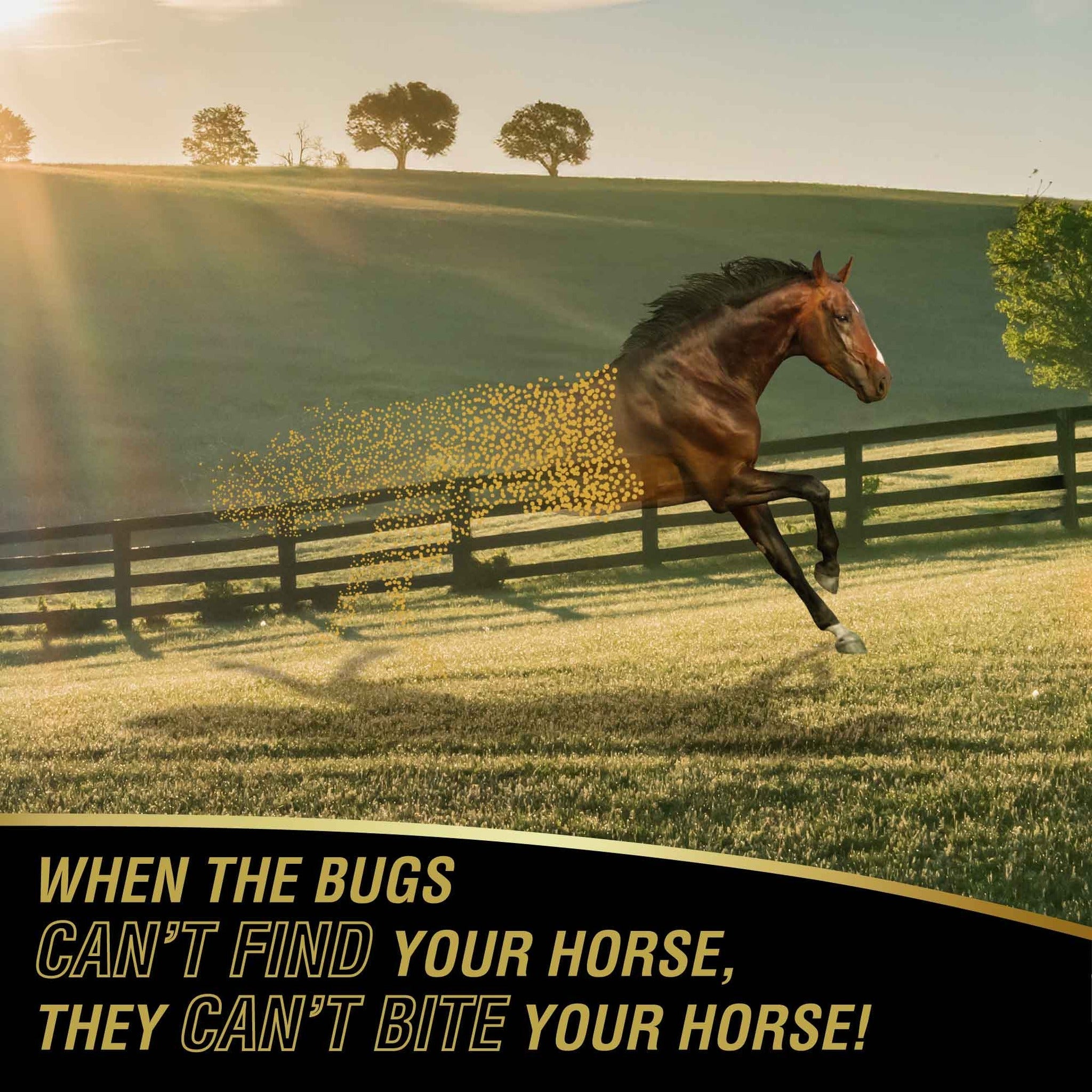 UltraShield Gold insecticide and repellent, when bugs cannot find your horse they cannot bite