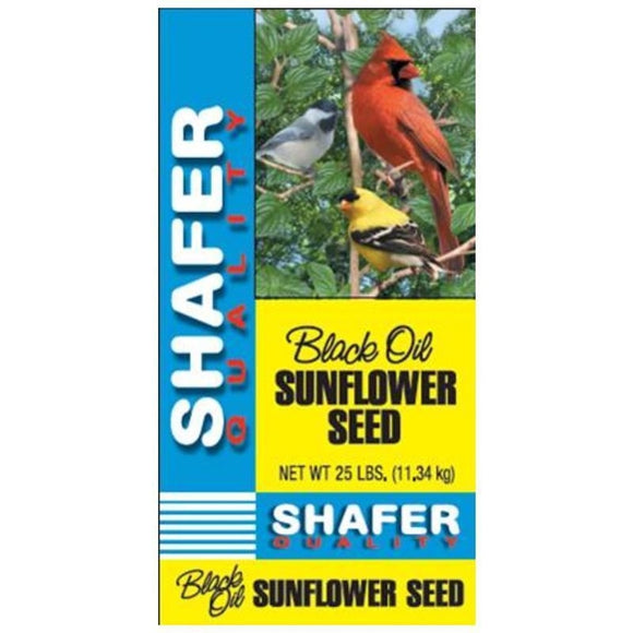 GENERIC BLACK OIL SUNFLOWER SEED