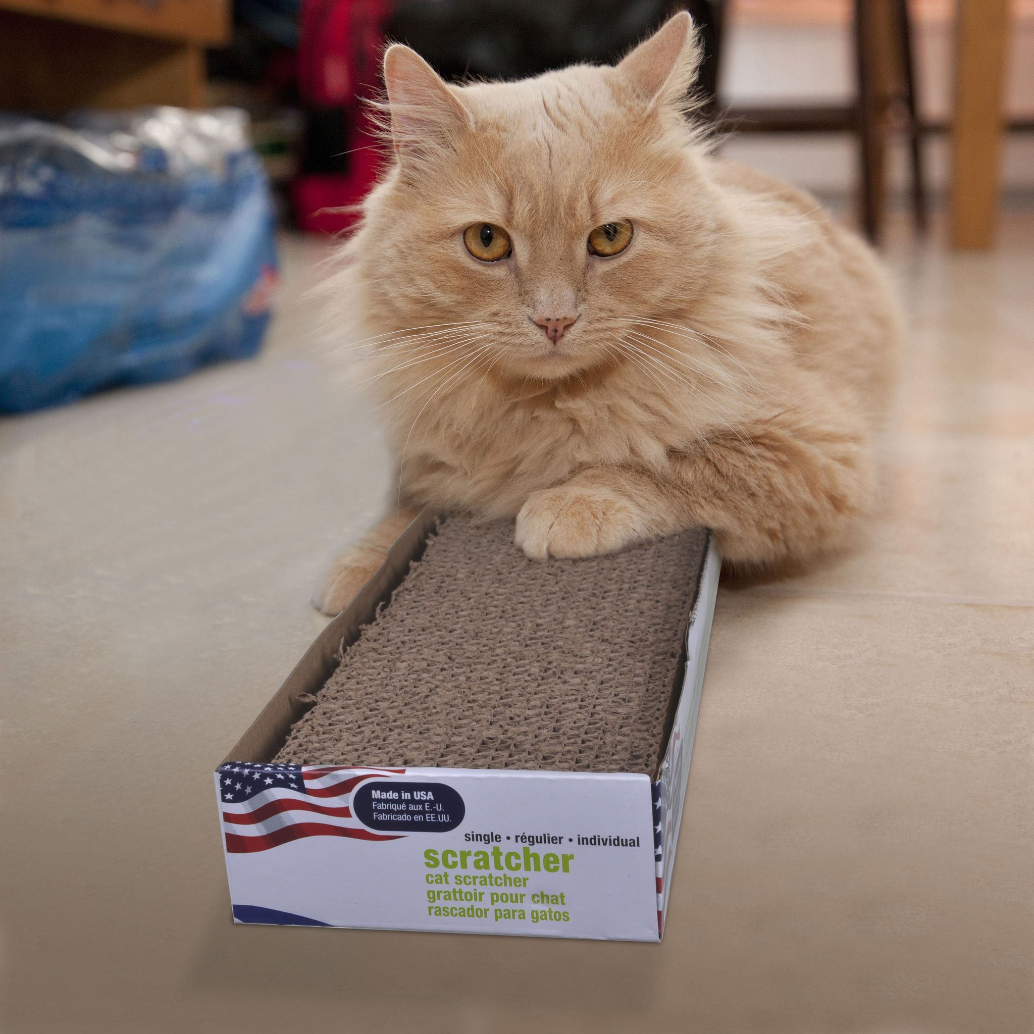 Cat resting on the Van Ness Cat Scratch Pad Single
