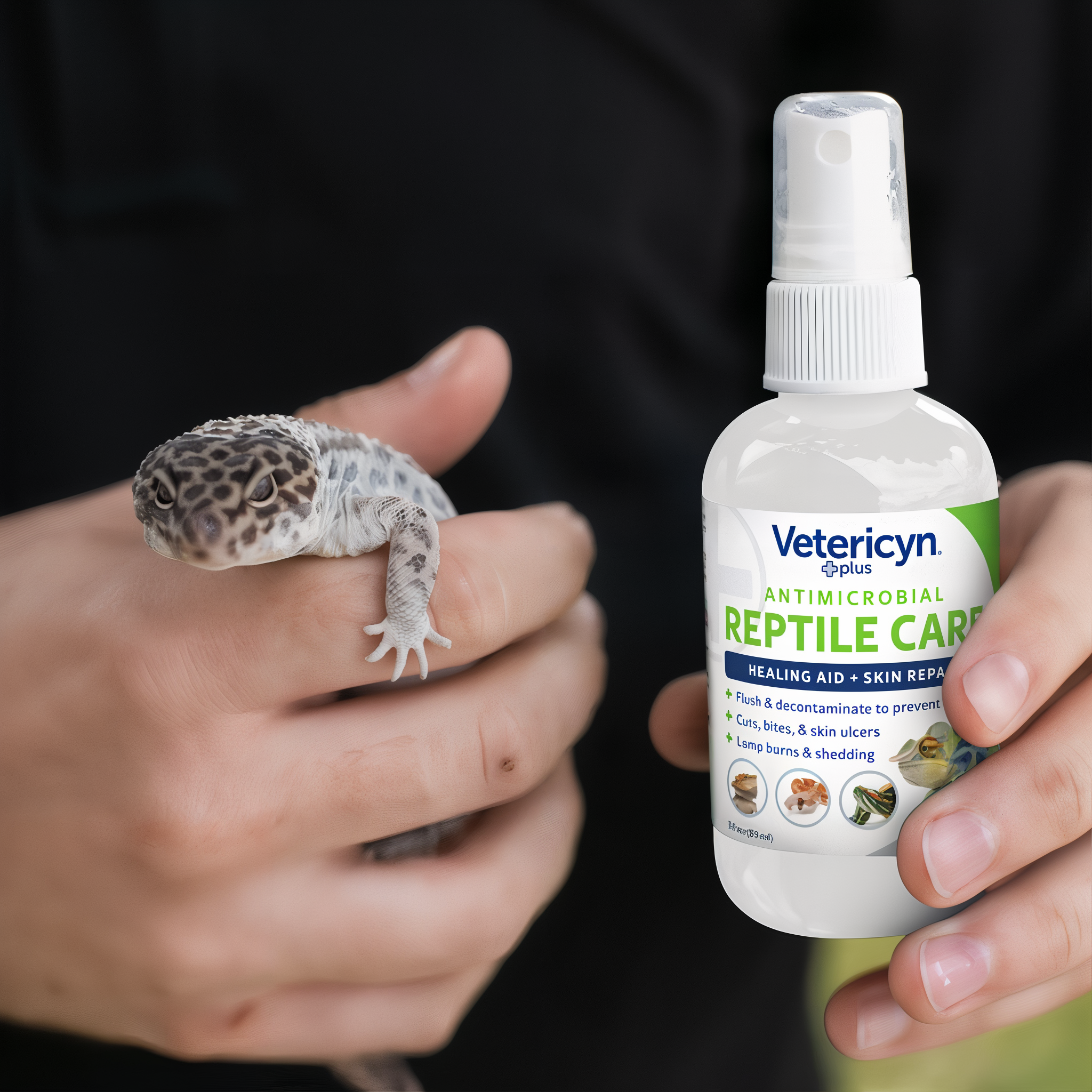 Applying Vetericyn Plus Reptile Care Spray to a reptile's skin